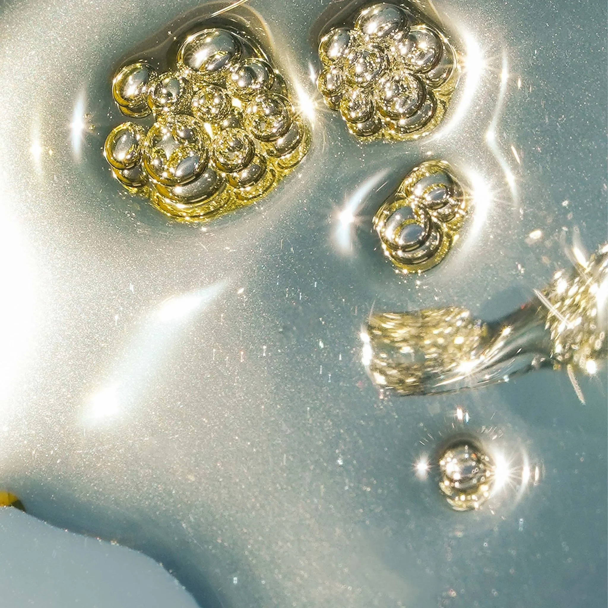 Algae + Moringa® Universal Face Oil - Image 2