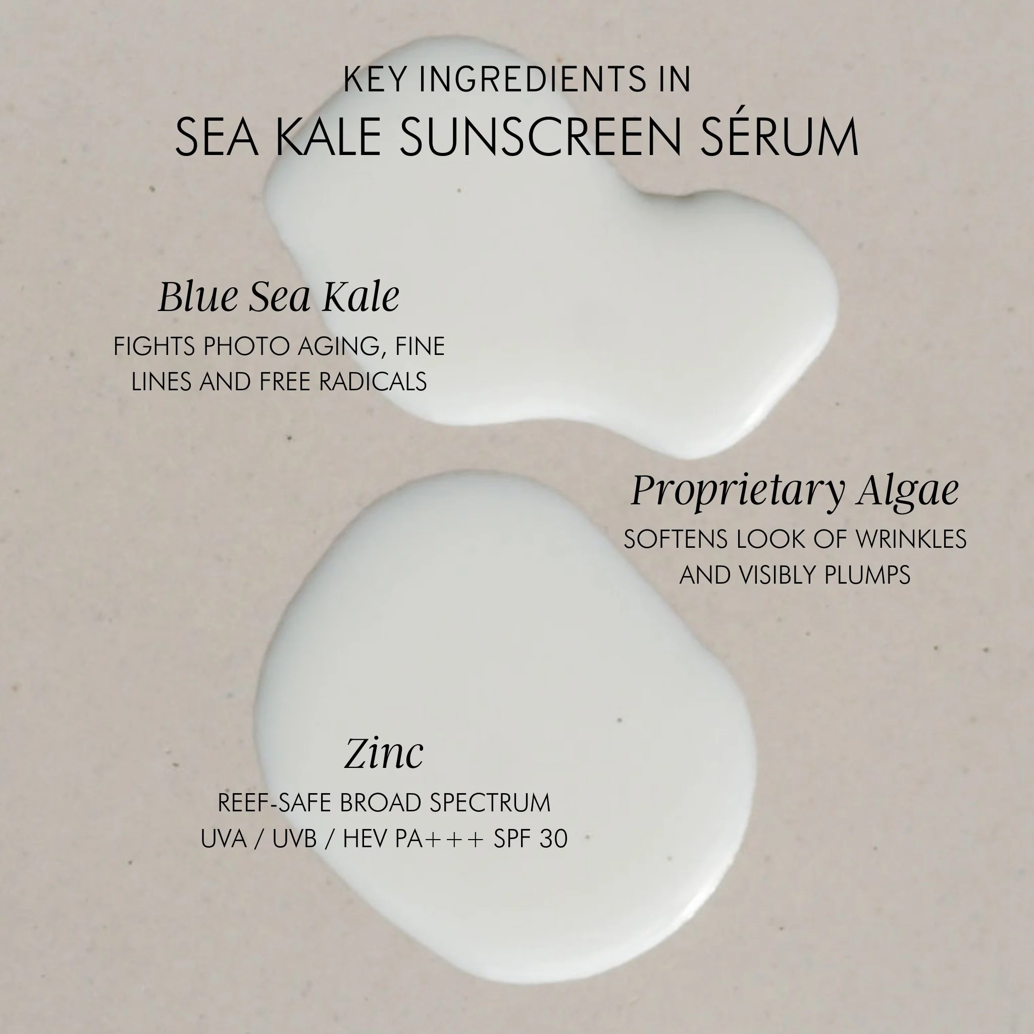Algae + Zinc Sea Kale Sunscreen Serum - Image 2