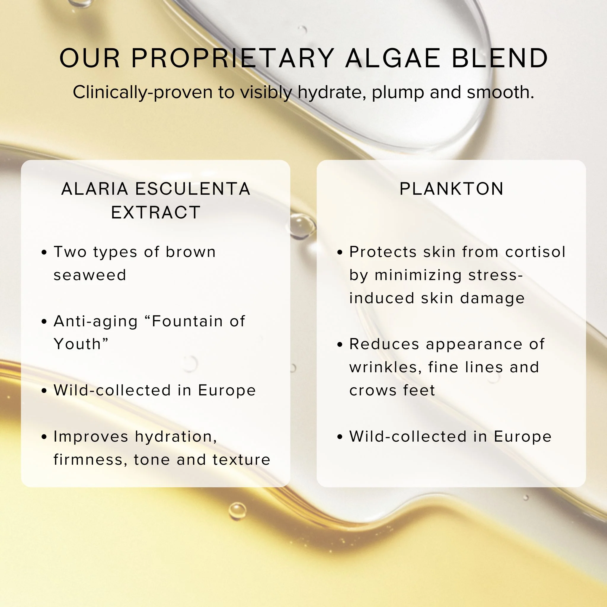 Chia + Moringa® Algae Enzyme Cleansing Oil - Image 13