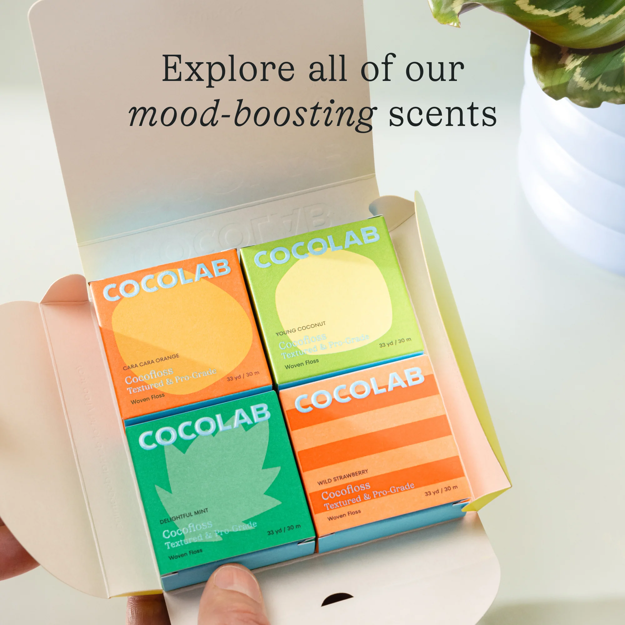Cocolab Cocofloss Refillable Dental Floss 33 Yd - Young Coconut - Image 8