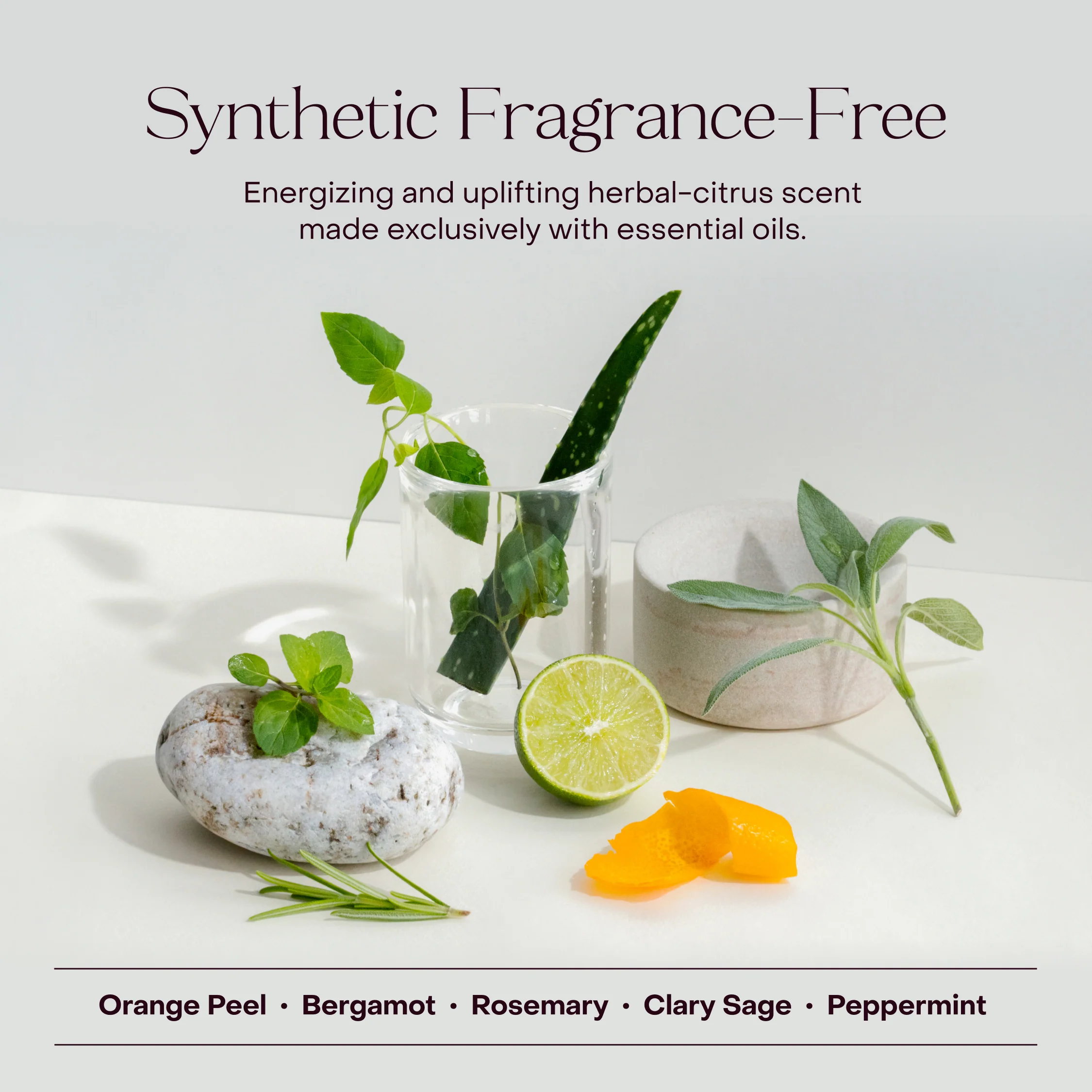 Haircare Meets Skincare Set - Image 7
