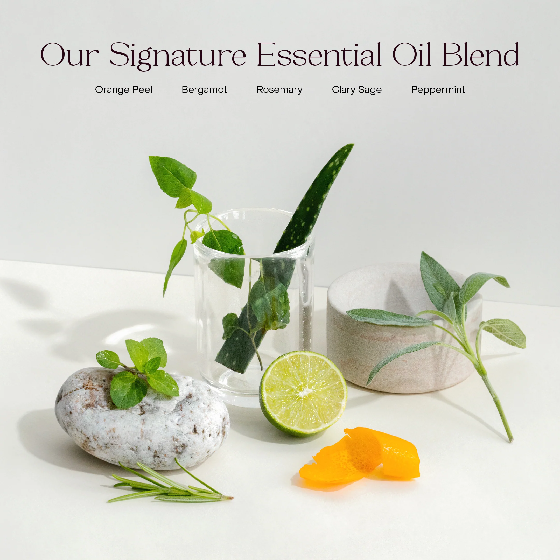The Exfoliating Body Wash Concentrate - Image 3