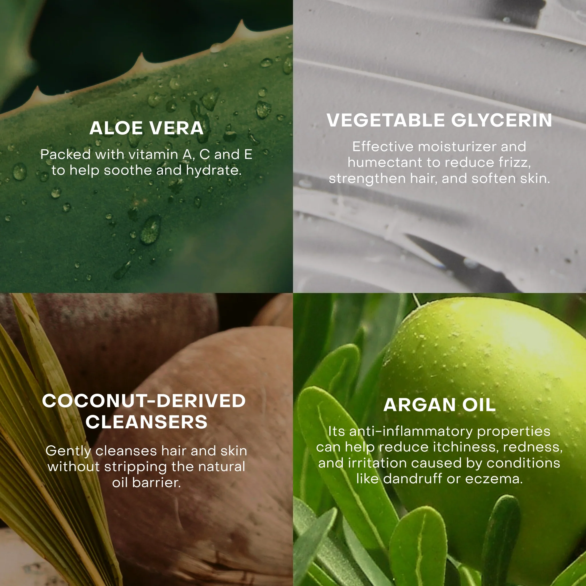 The Fragrance-Free Shampoo Concentrate - Image 7