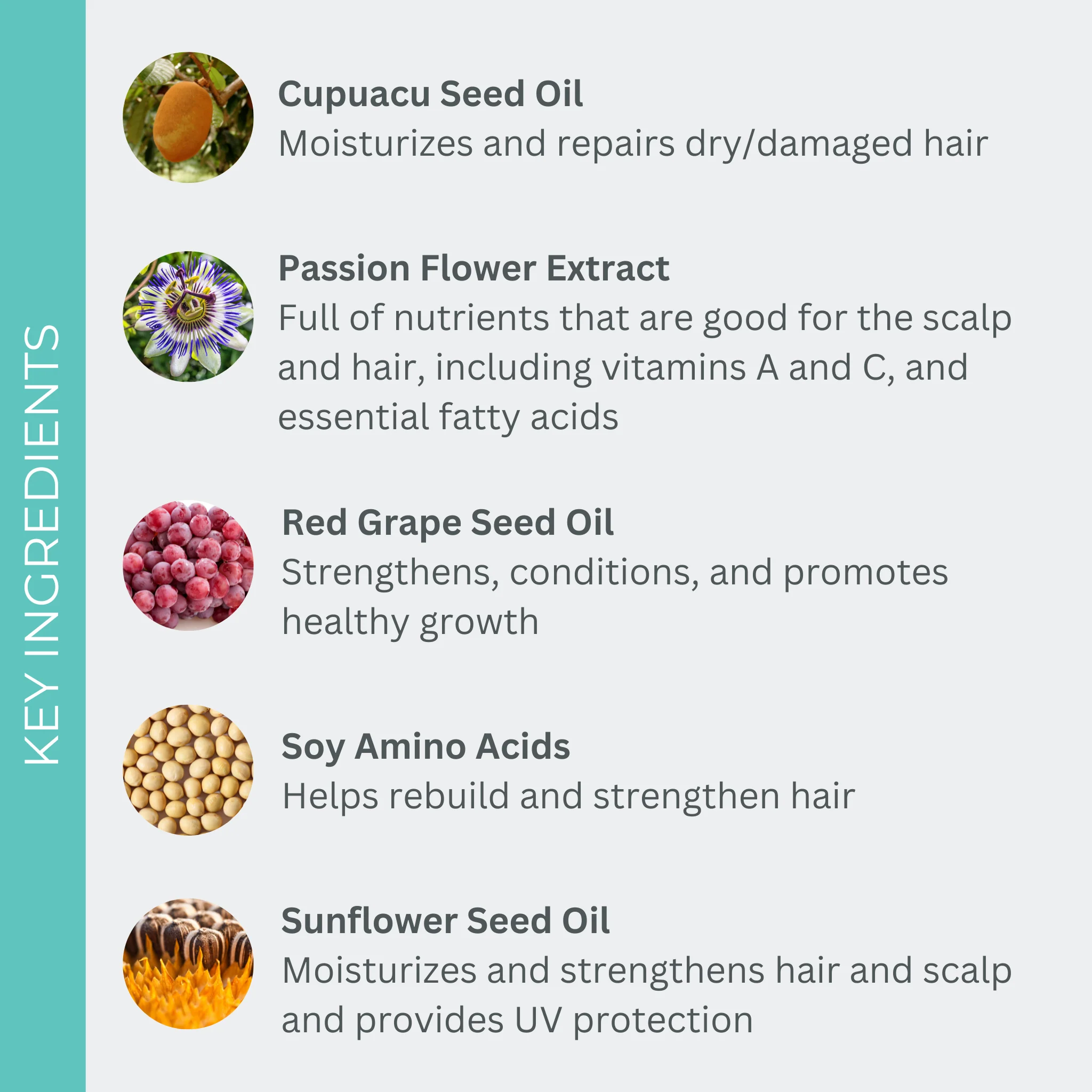 UltraShine Moisture Conditioner - Image 3
