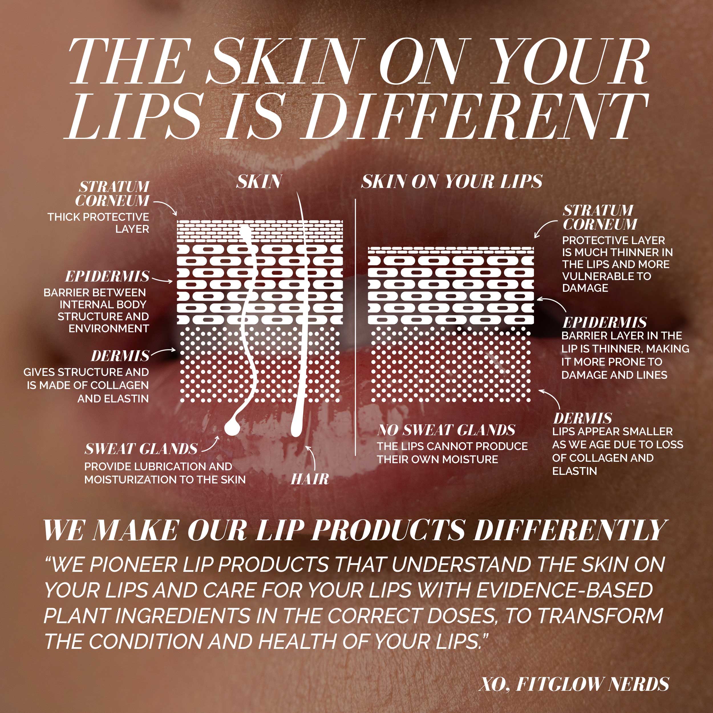 Ceramide Lip Hydra Balm - Image 26