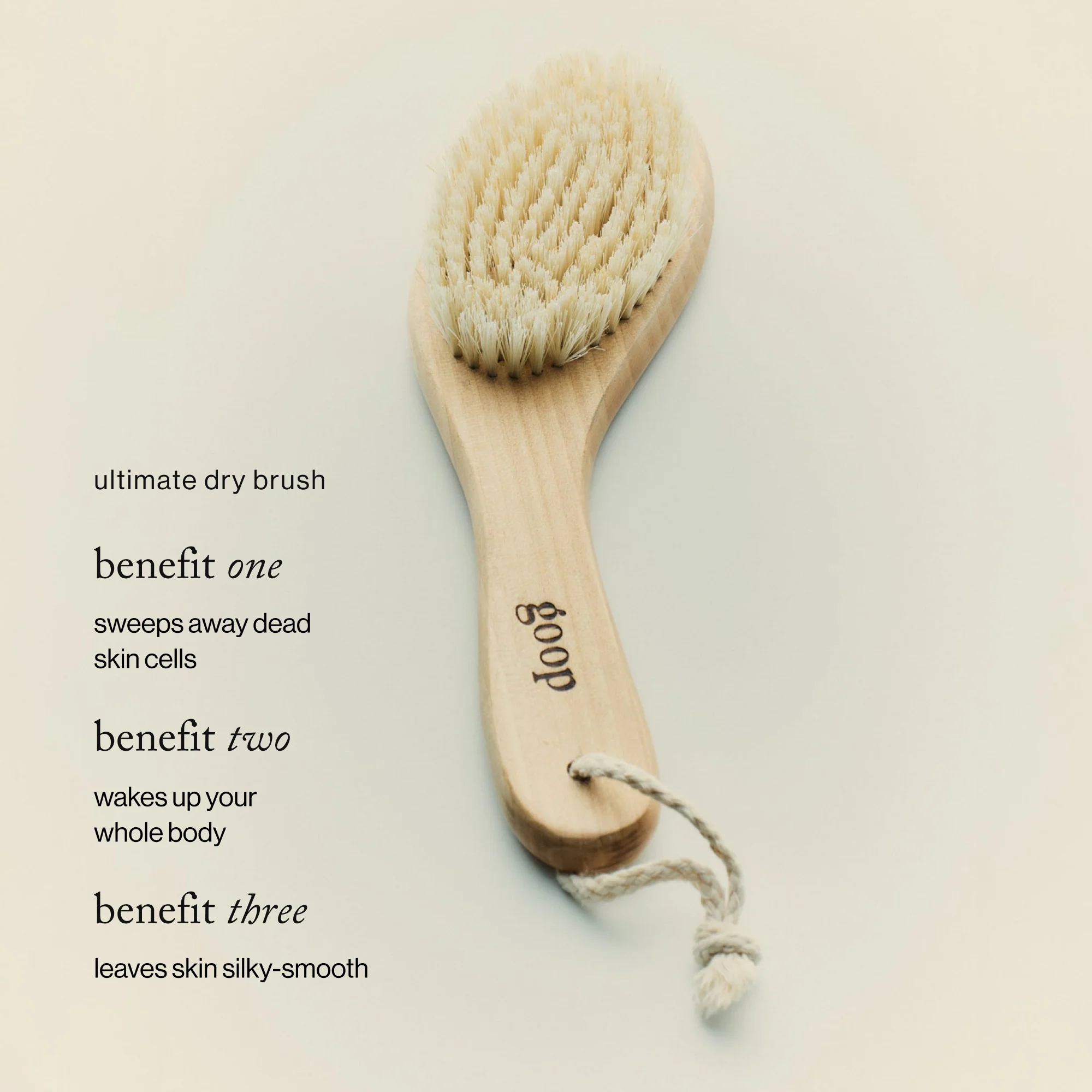 G.Tox Ultimate Dry Brush - Image 3