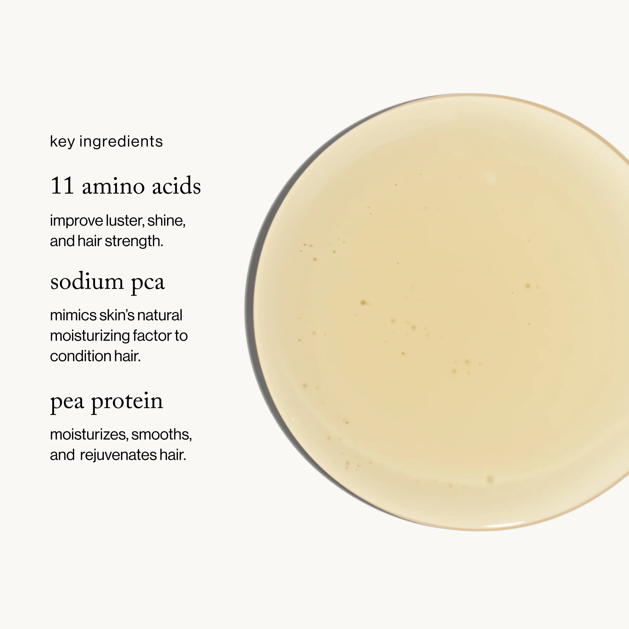 Goopglow Restore + Shine Amino Acid Shampoo - Image 2