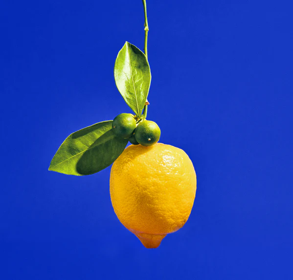 Dirty Lemon Body Mist - Image 6