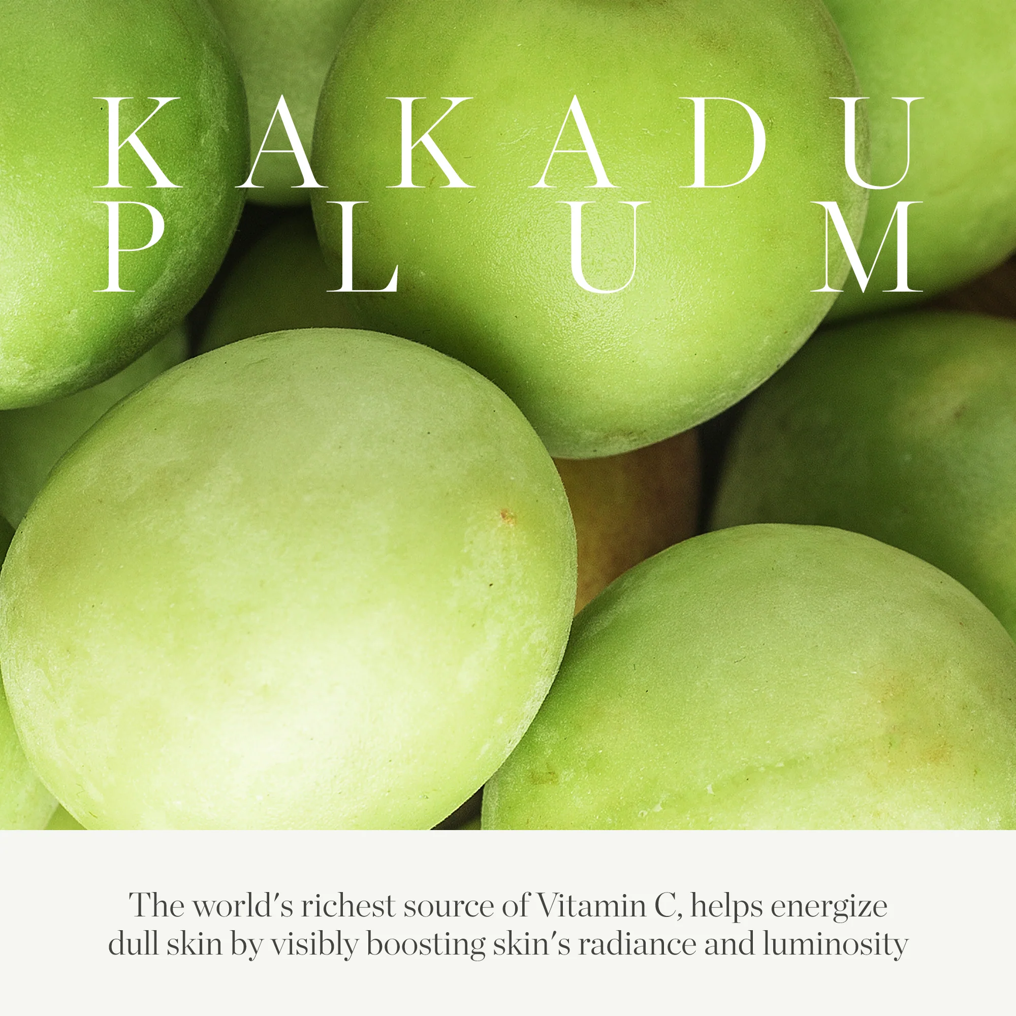 Kakadu Plum Vitamin C Eye Cream - Image 6