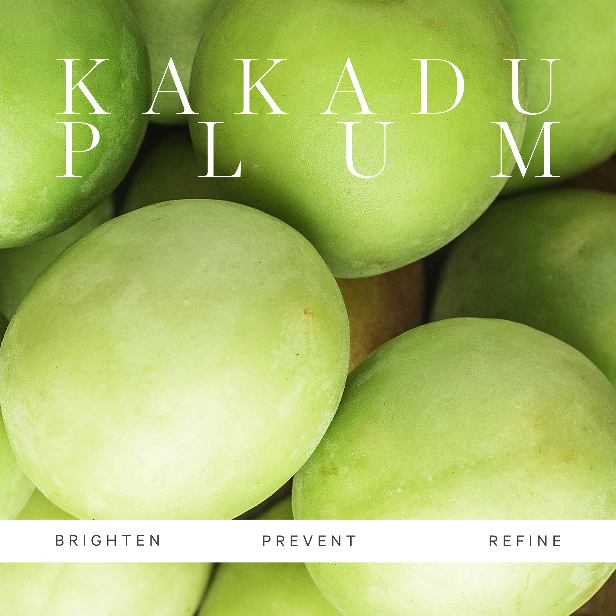Kakadu Plum Vitamin C Serum - Image 6