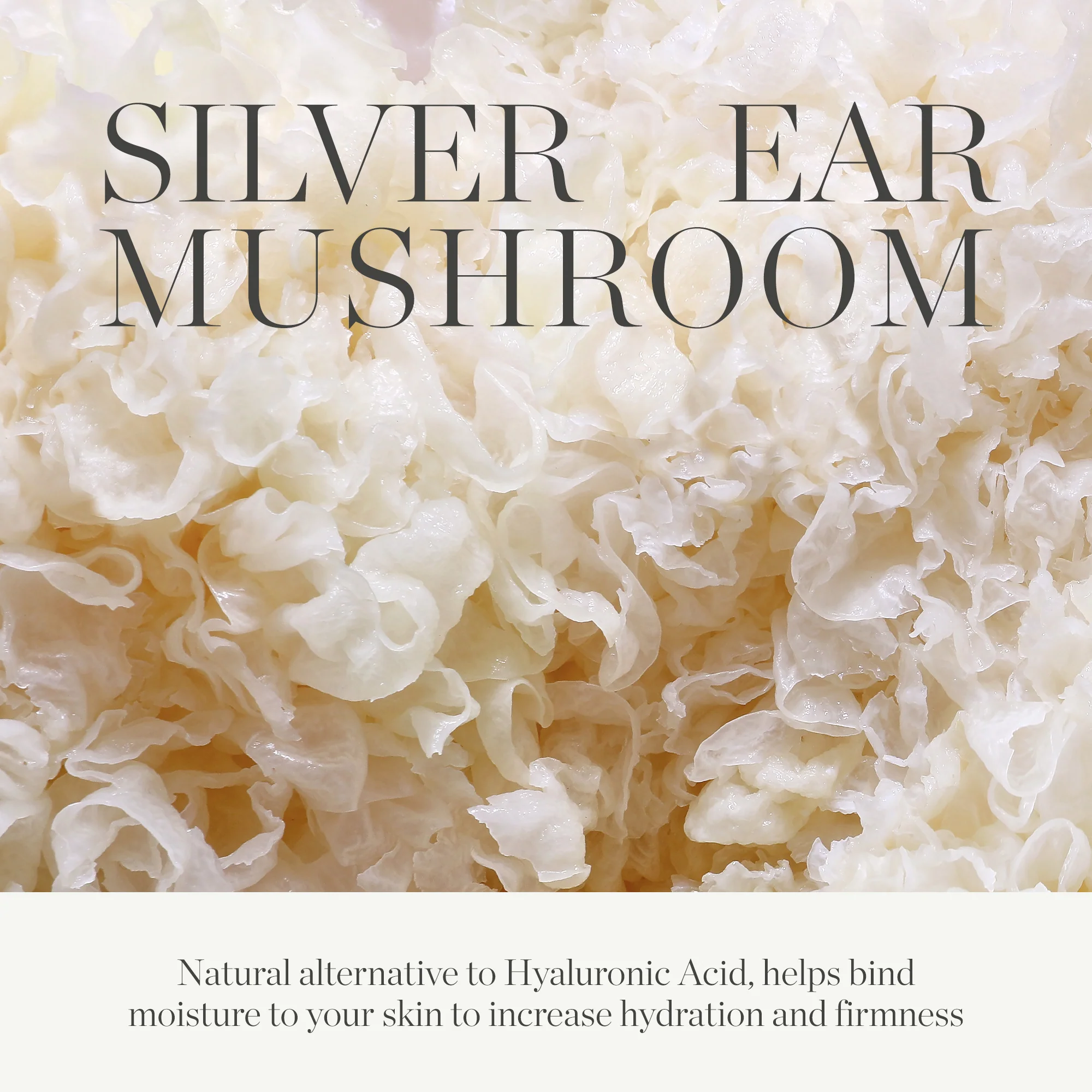 Milky Mushroom Hydrating Mask - Image 5