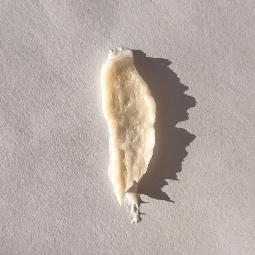 Exploration 01 Ampoule Repair Shampoo - Image 2