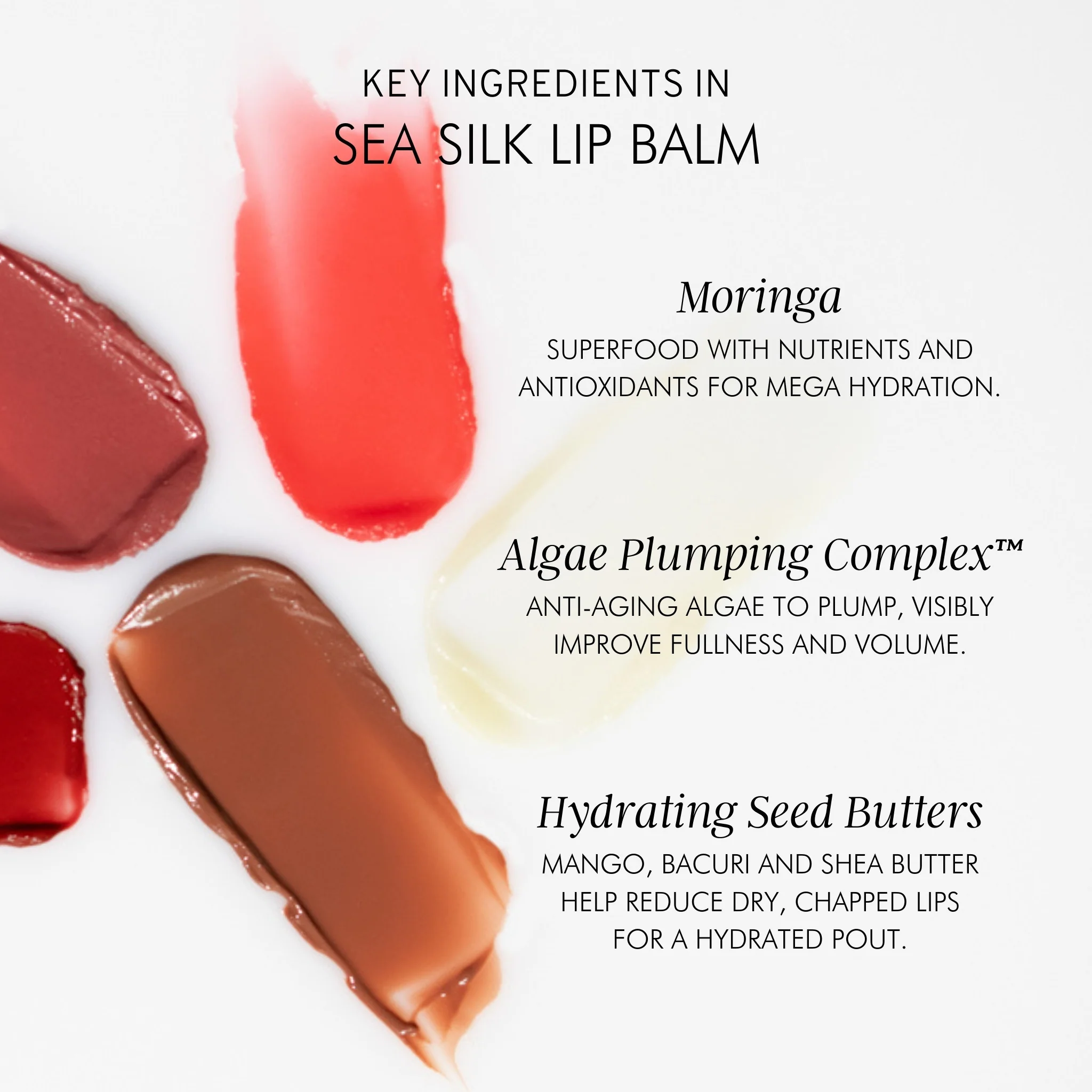 Algae + Moringa Sea Silk Lip Balm - Image 24