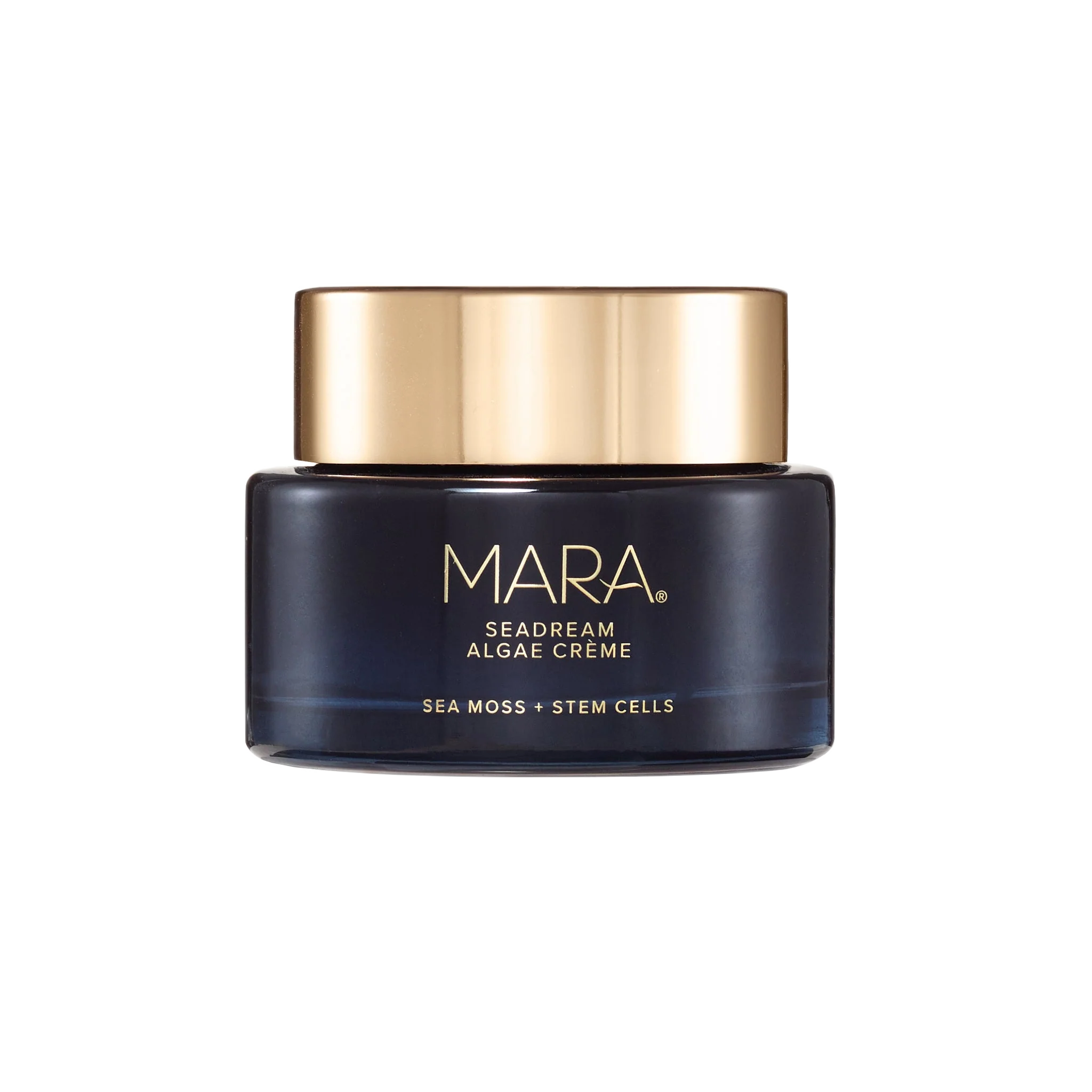 Sea Moss + Stem Cells Seadream Firming Algae Créme