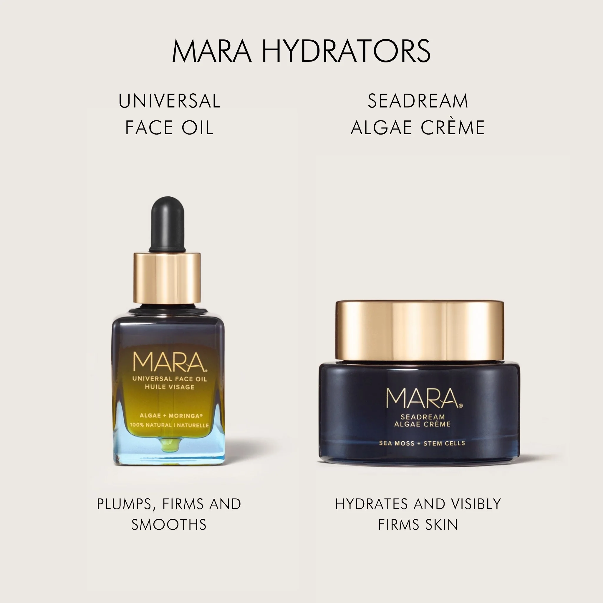 Sea Moss + Stem Cells Seadream Firming Algae Créme - Image 11