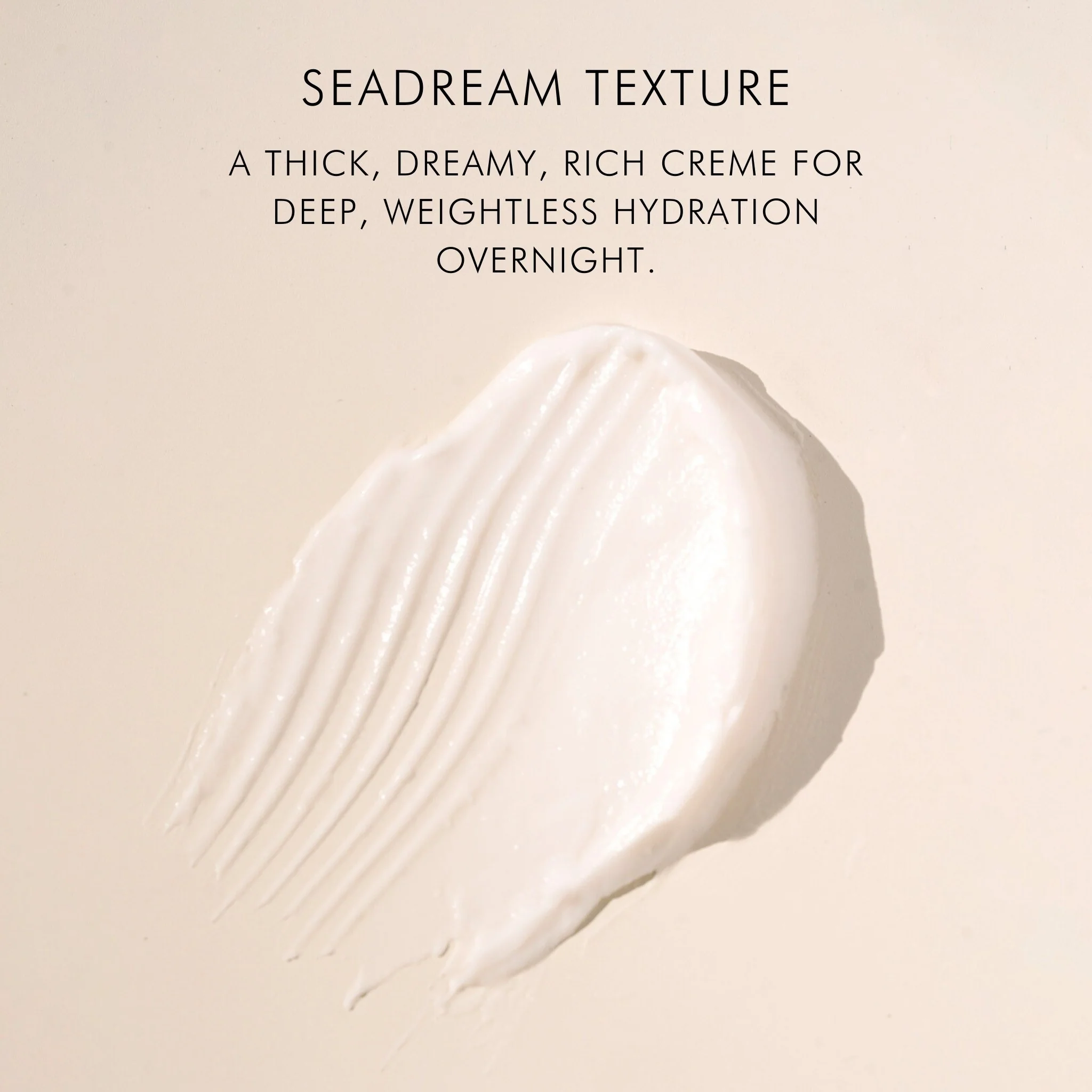 Sea Moss + Stem Cells Seadream Firming Algae Créme - Image 2