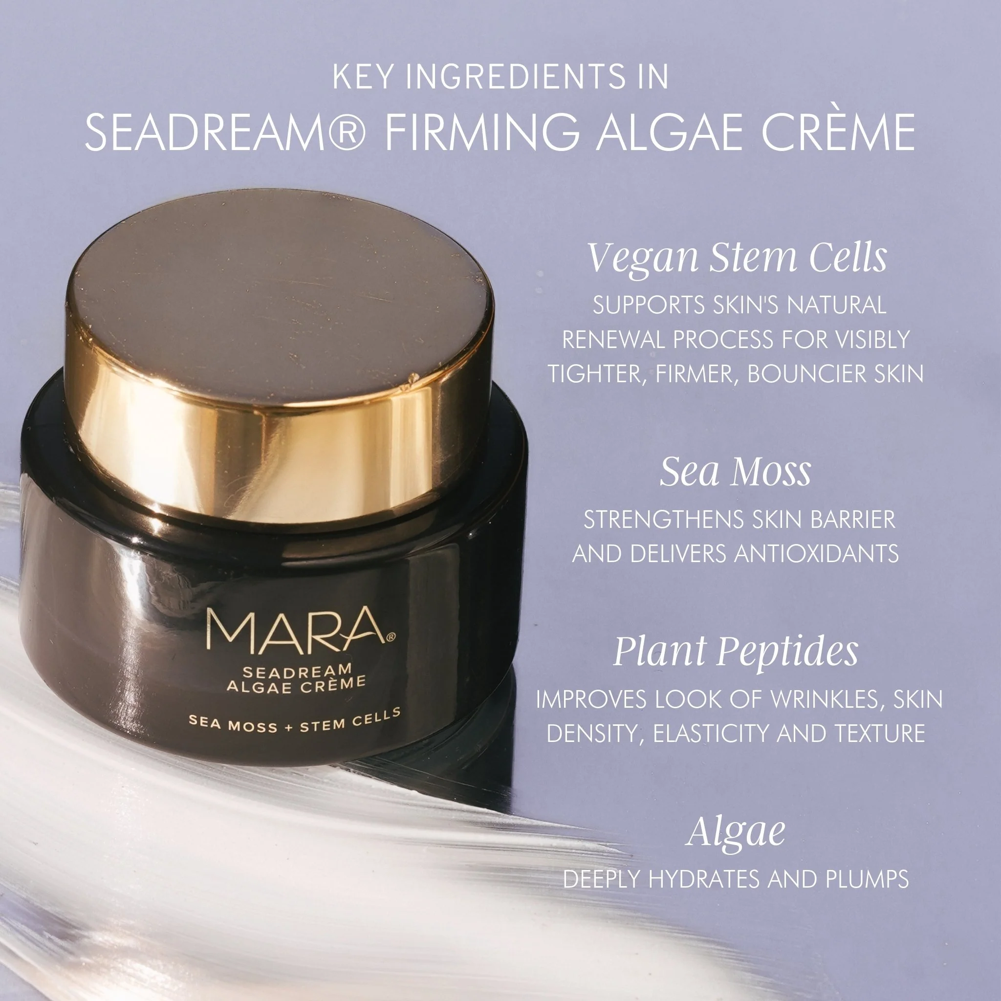 Sea Moss + Stem Cells Seadream Firming Algae Créme - Image 3