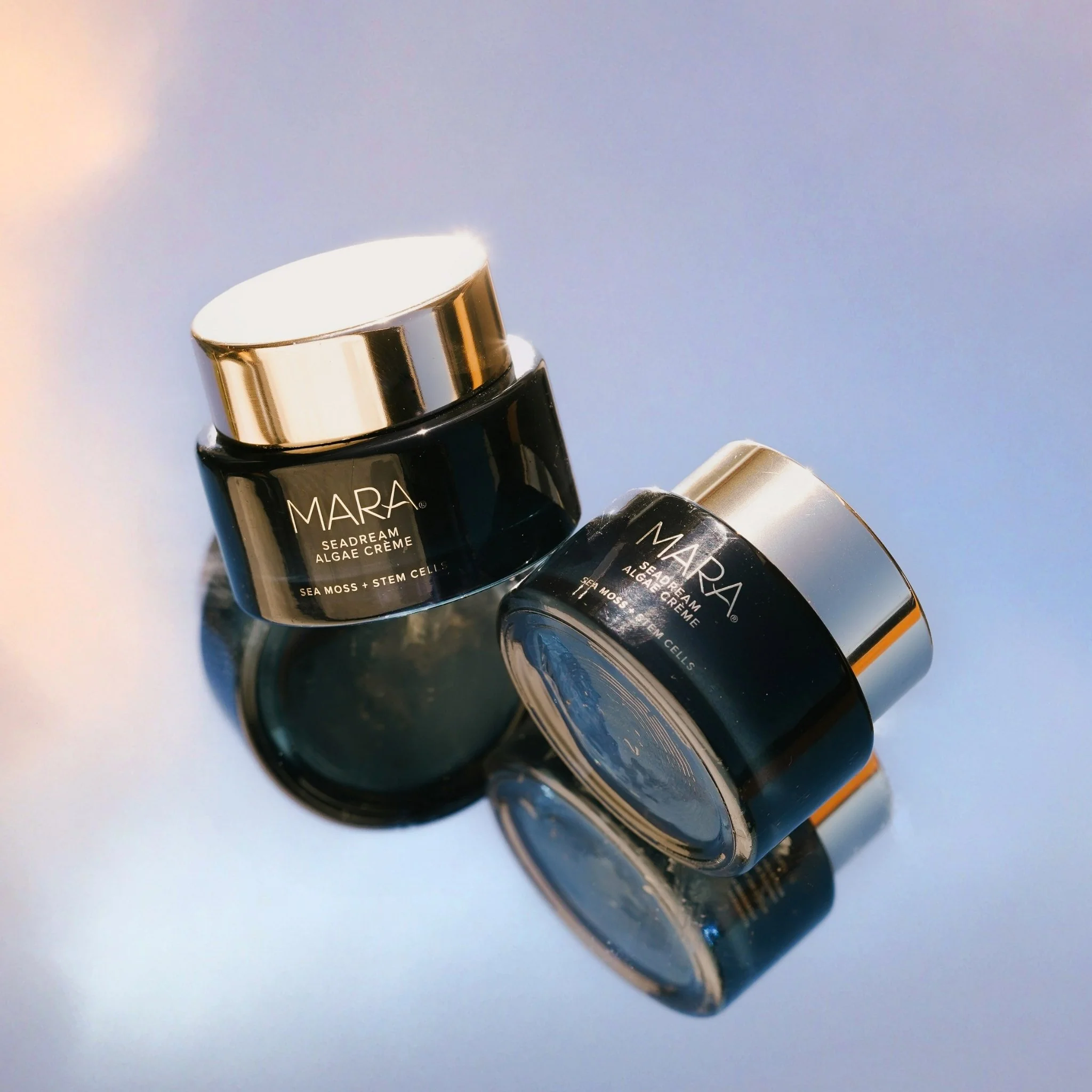 Sea Moss + Stem Cells Seadream Firming Algae Créme - Image 8