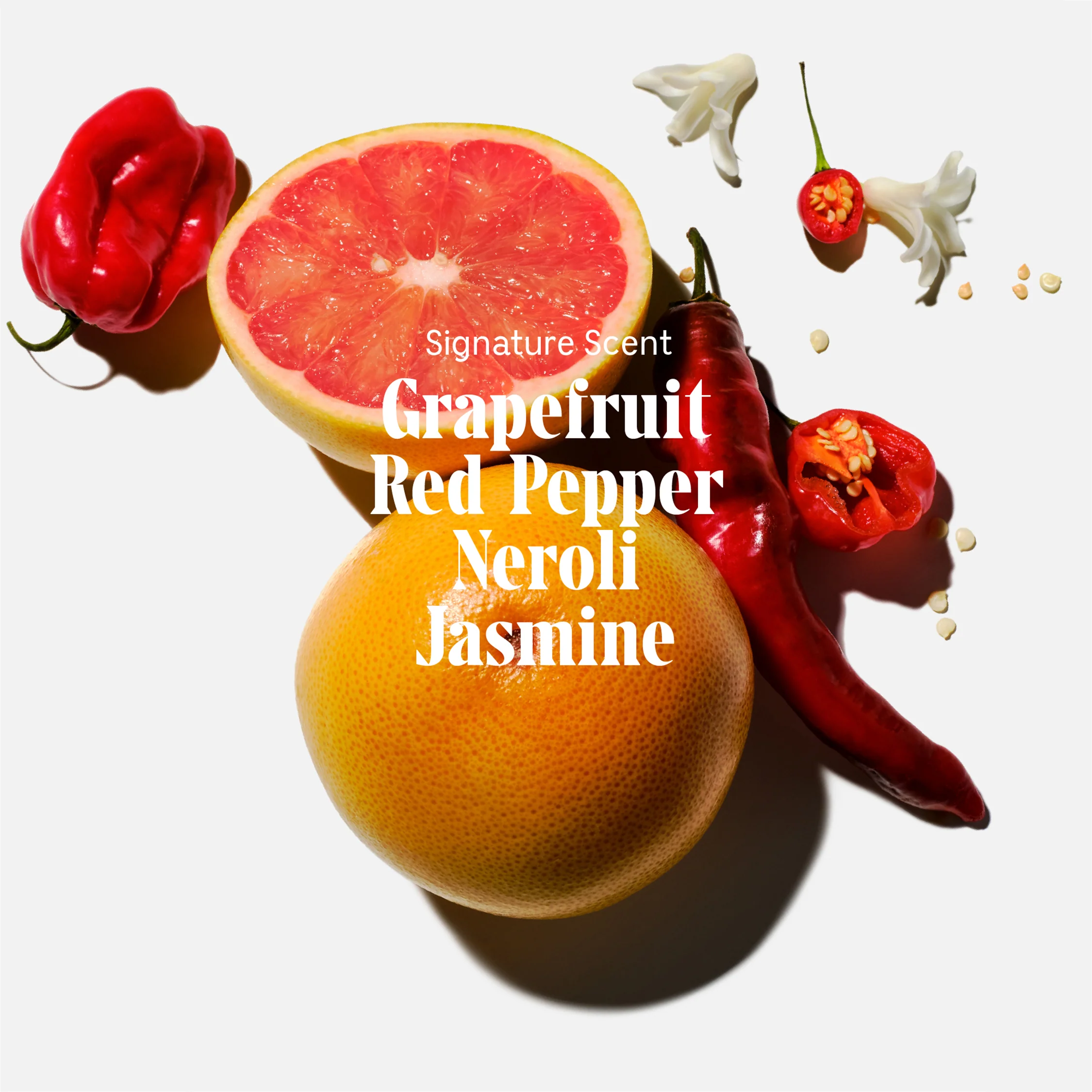The Body Oil Grapefruit - Image 5