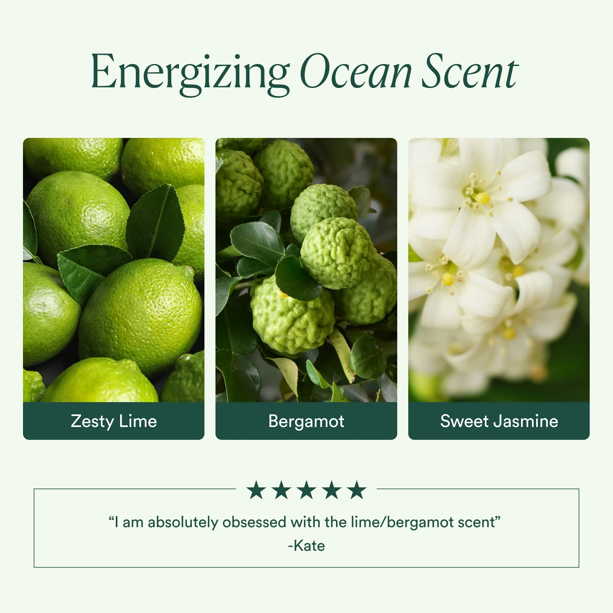 Ocean Cleanser - Image 7