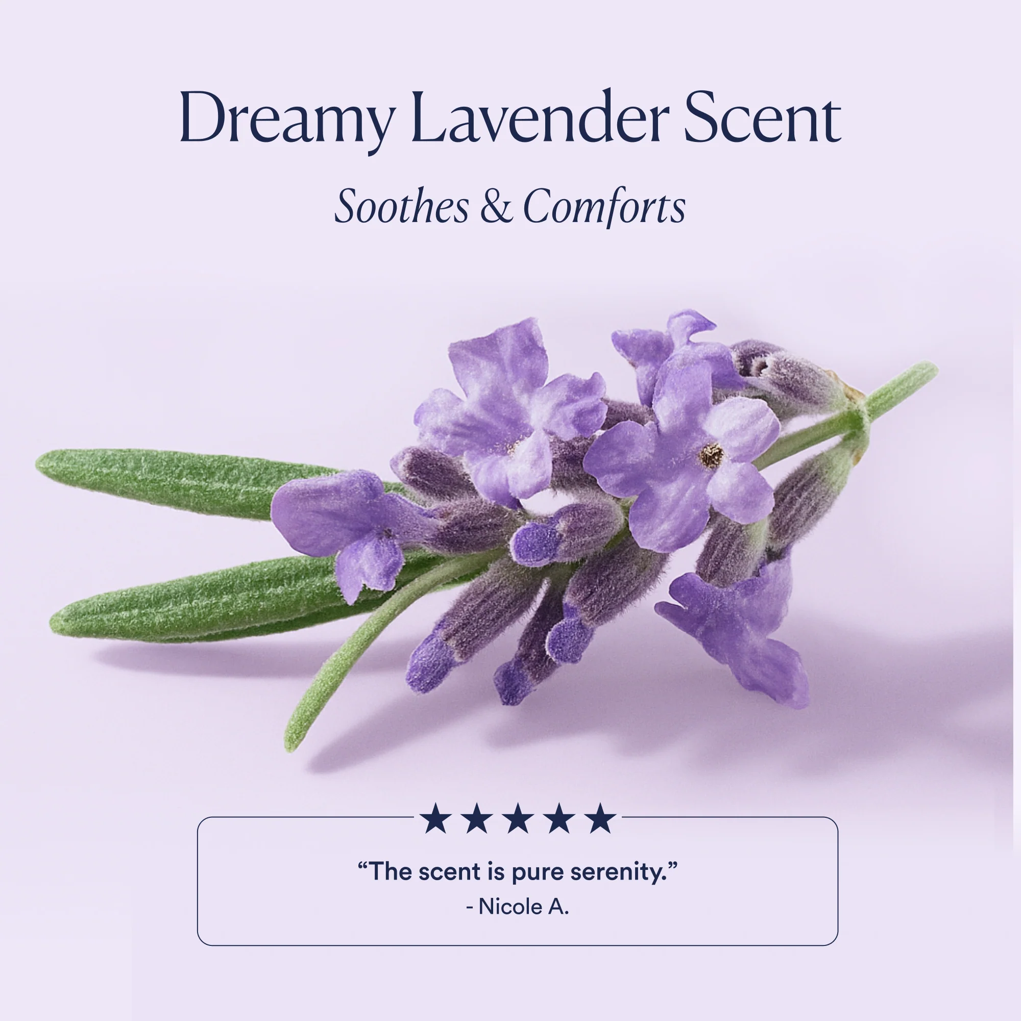 Dream Night Cream - Image 7