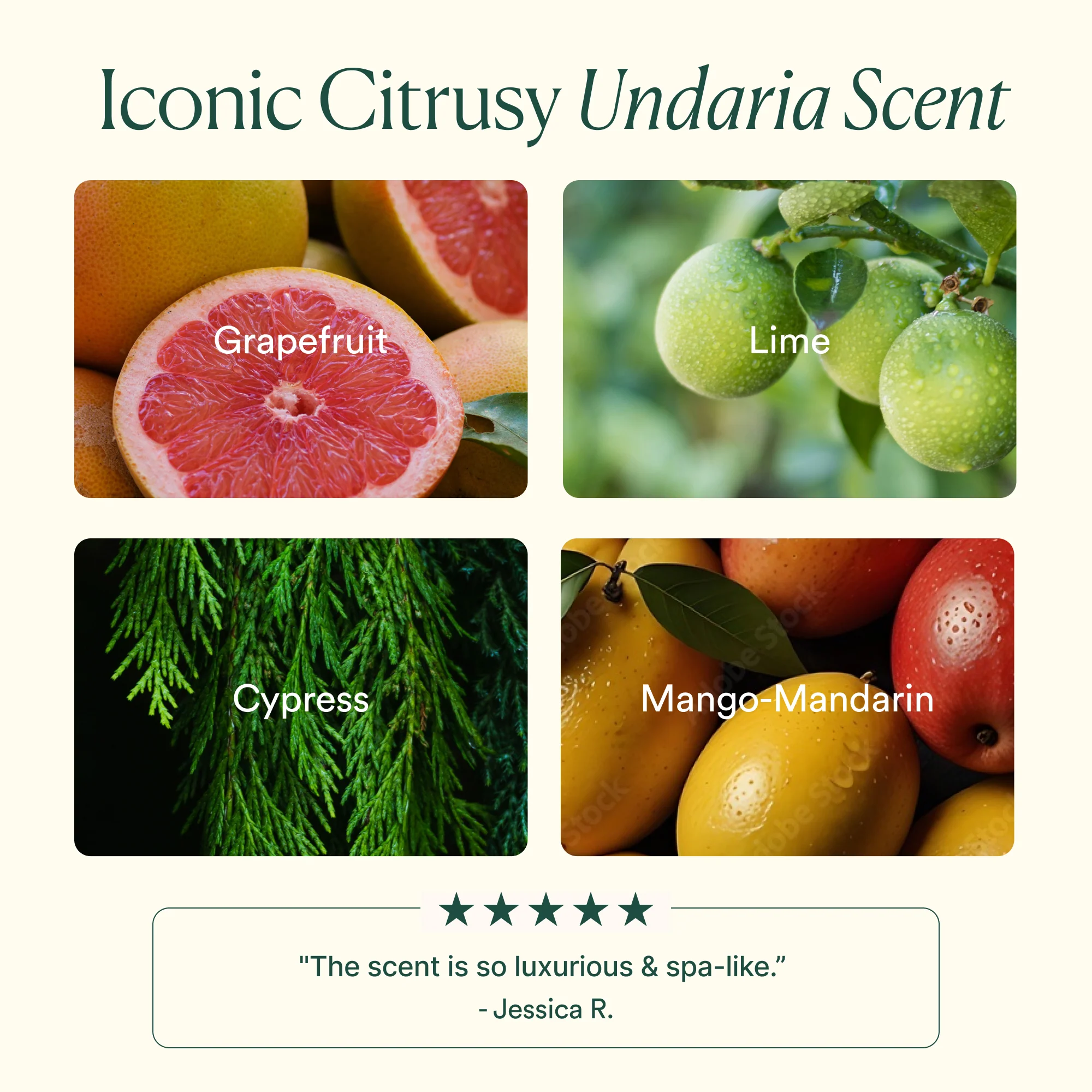 Undaria Algae™ Body Lotion - Image 7