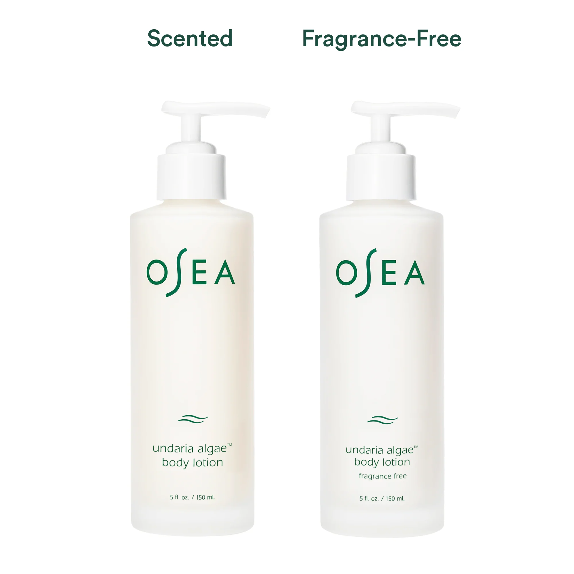 Undaria Algae™ Body Lotion Fragrance Free - Image 6