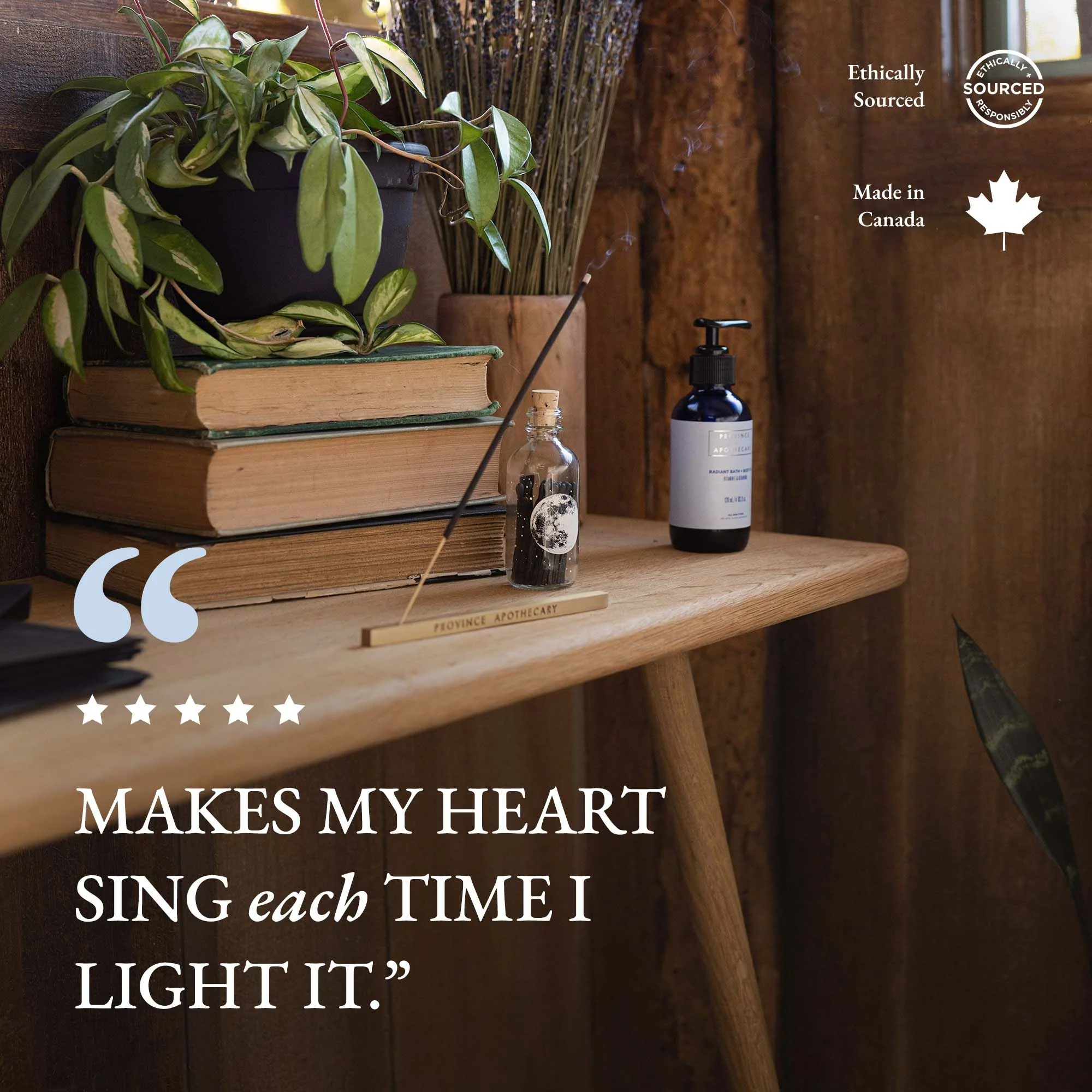 Black Spruce + Fir Balsam Essential Oil Incense - Image 9