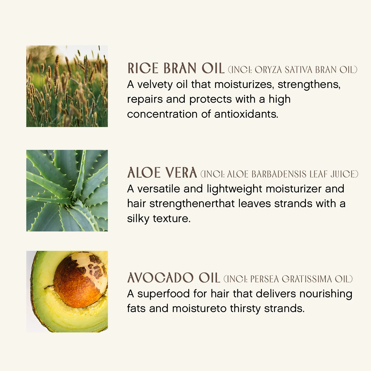 Pure Inspiration Daily Conditioner - Image 5