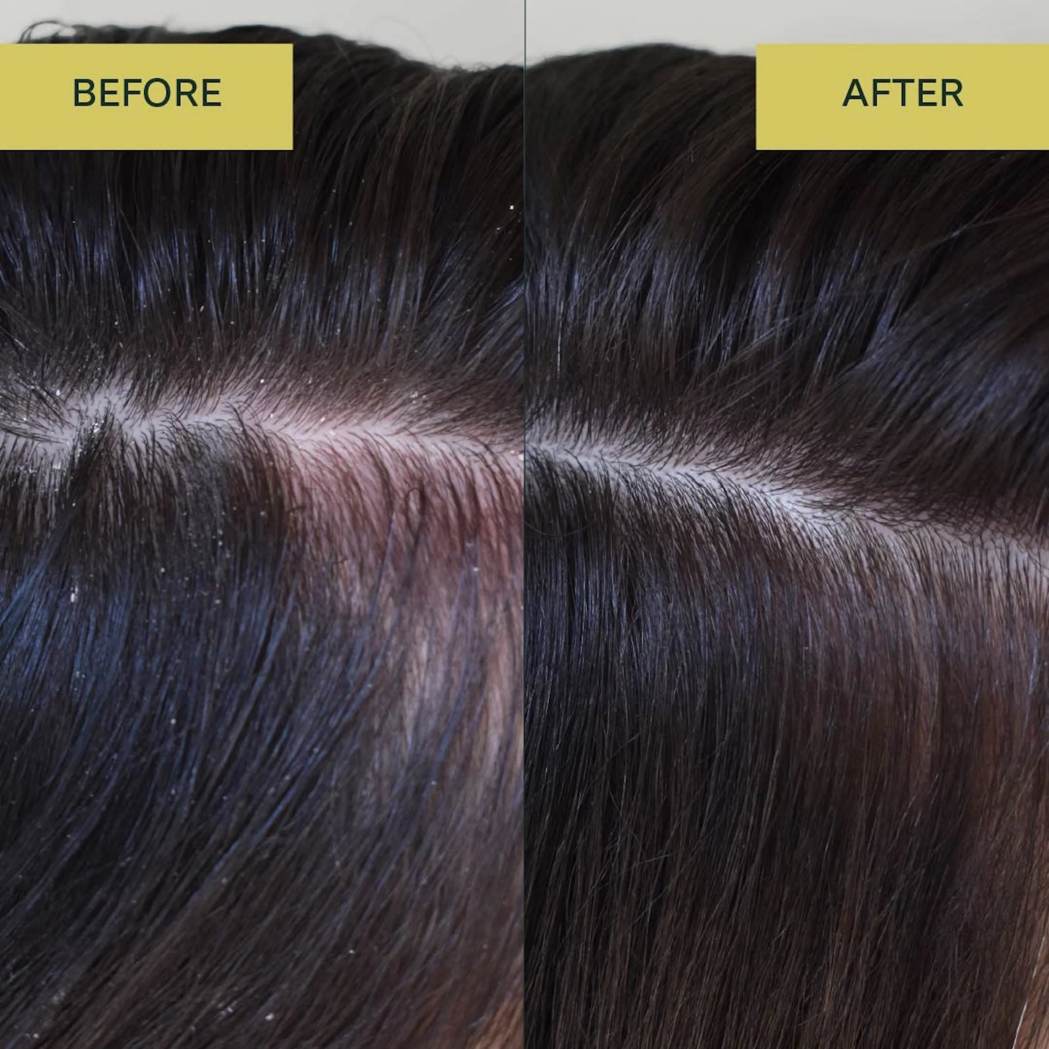 Aloe Vera Conditioner - Image 3