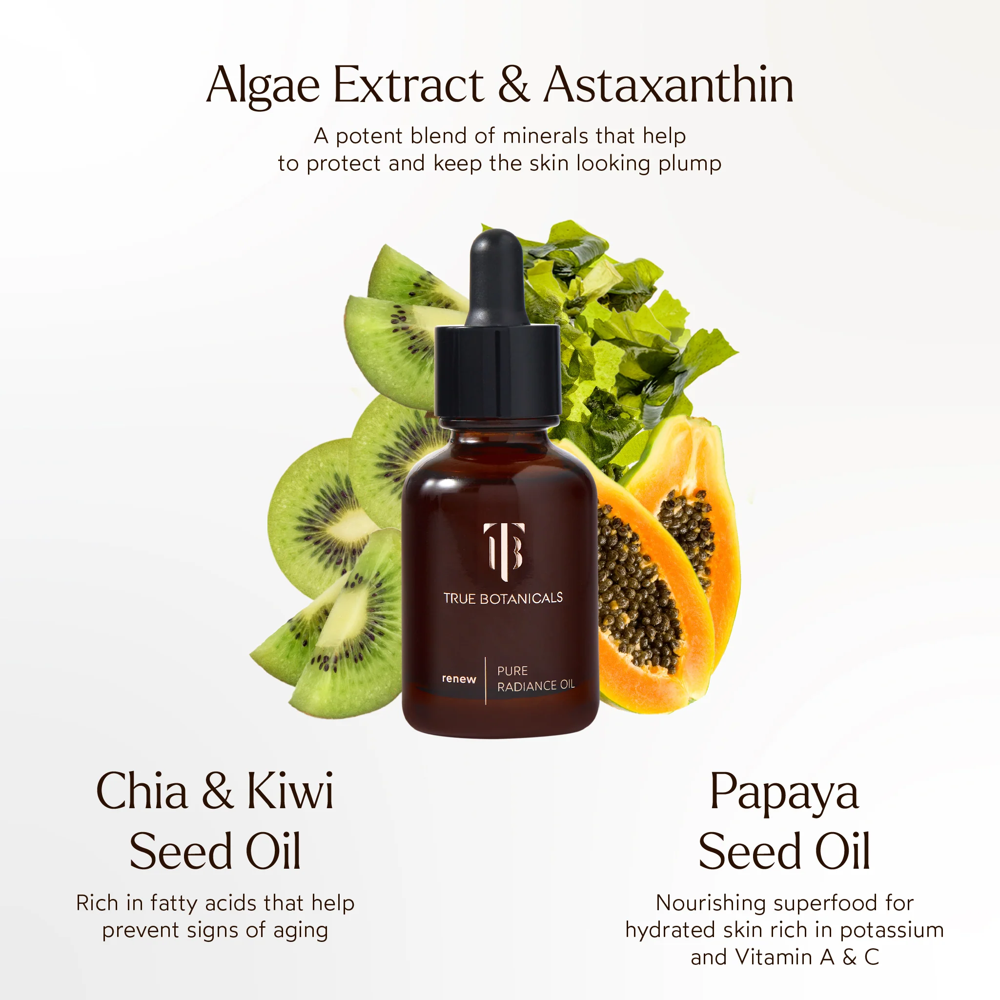 RENEW Pure Radiance Hydrating Oil - Image 3