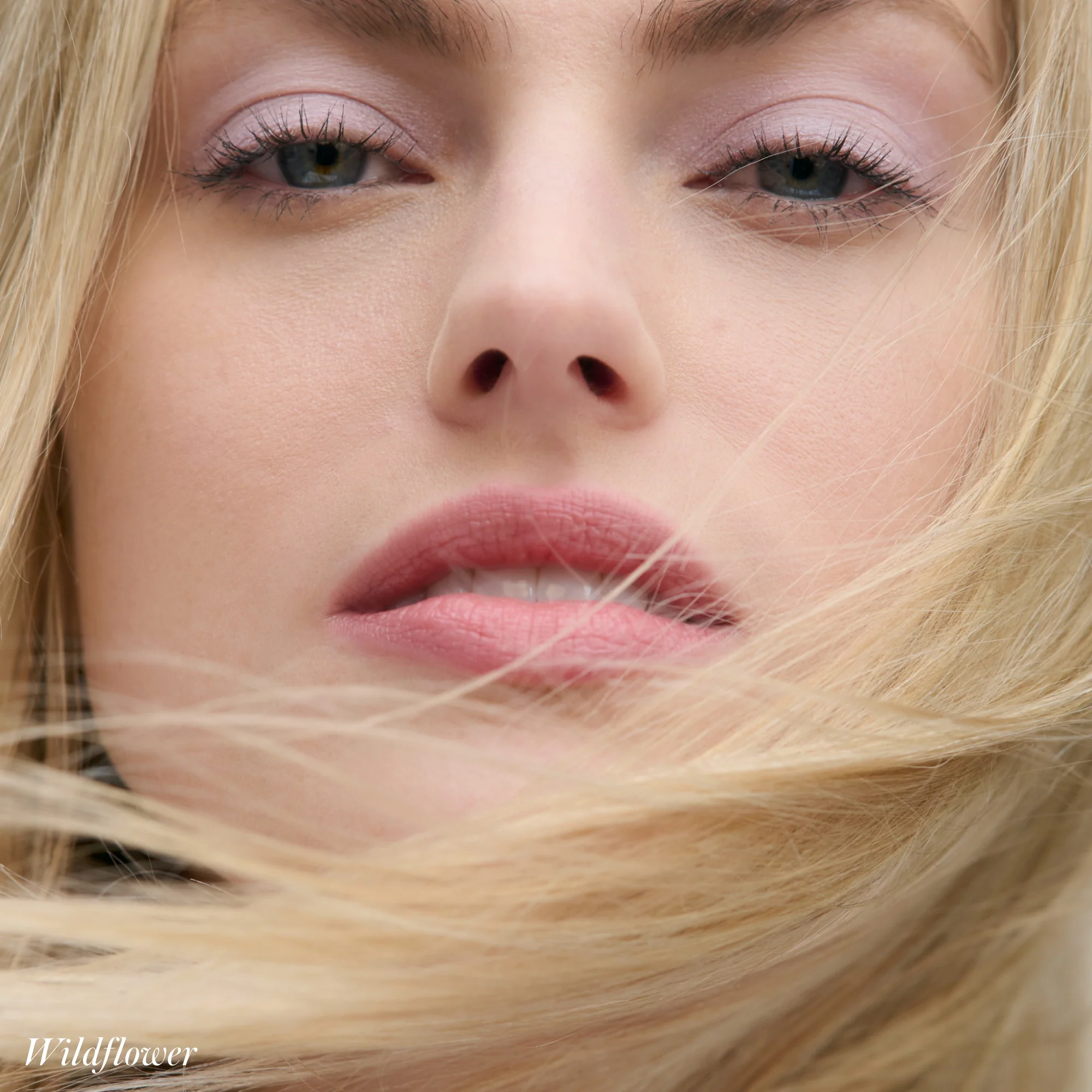 Cashmere Matte Eyelights - Image 31