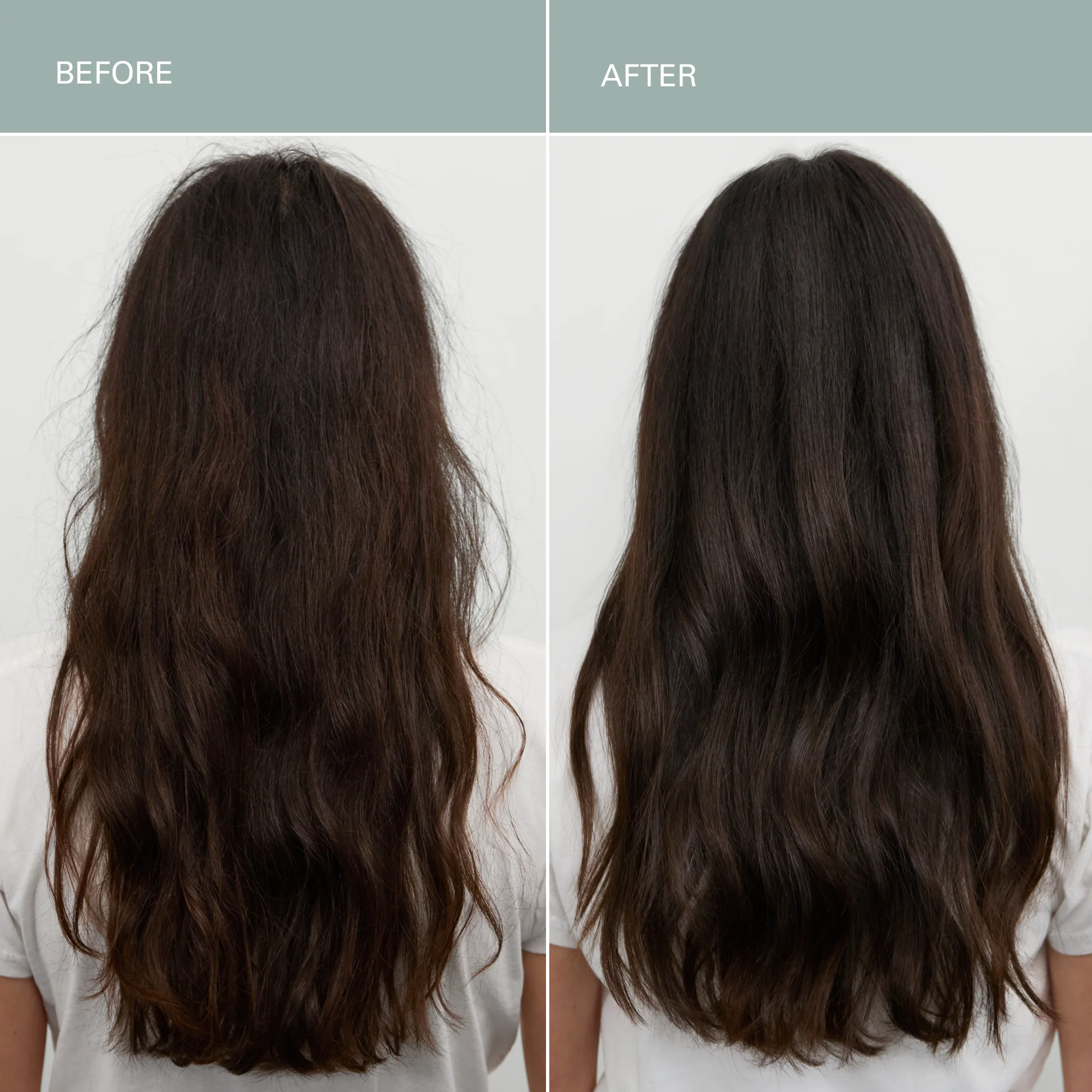 Foundation Conditioner - Image 4