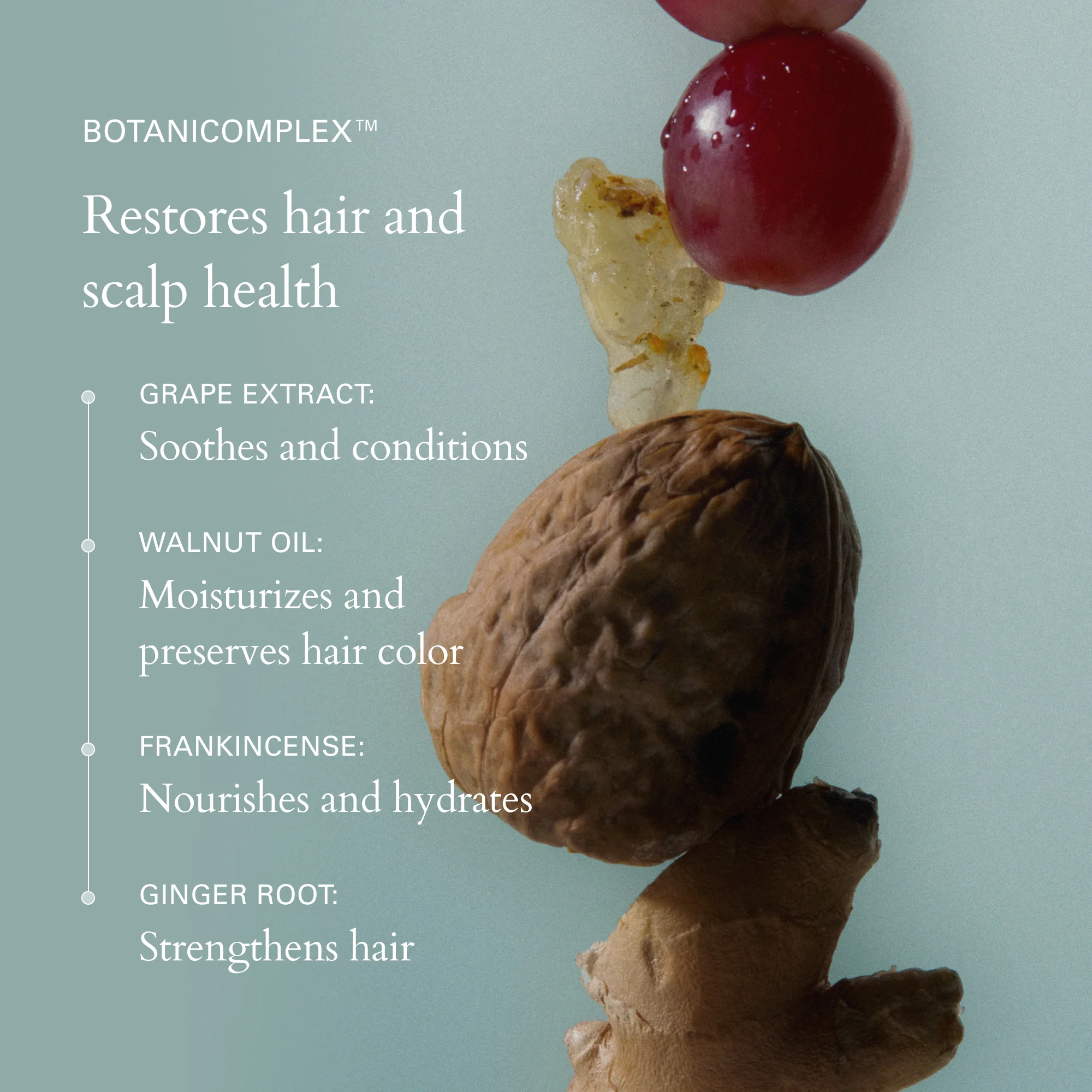 Foundation Conditioner - Image 6