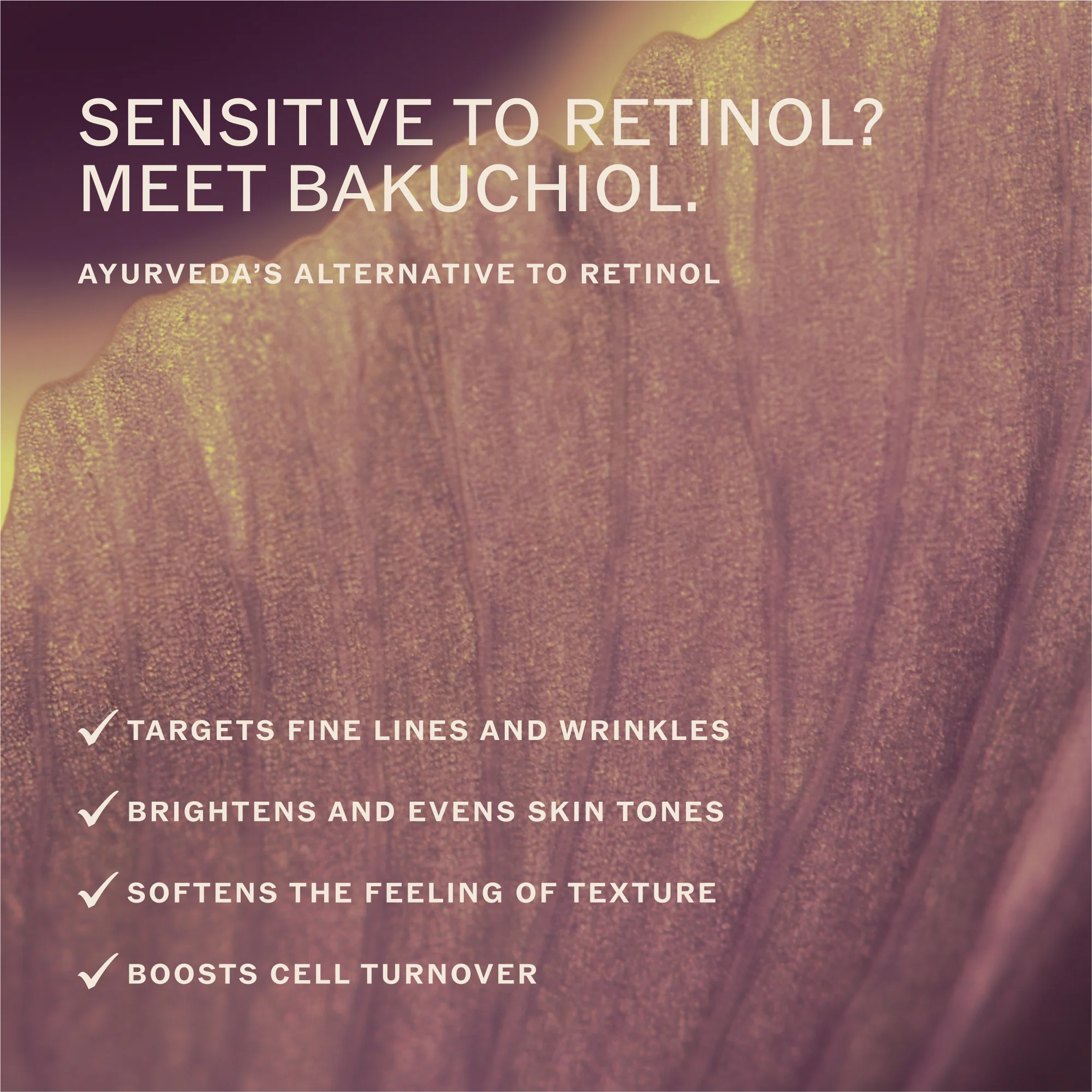 Eternal Glow Cream With Vitamin C, Bakuchiol, Ceramides + Saffron - Image 7