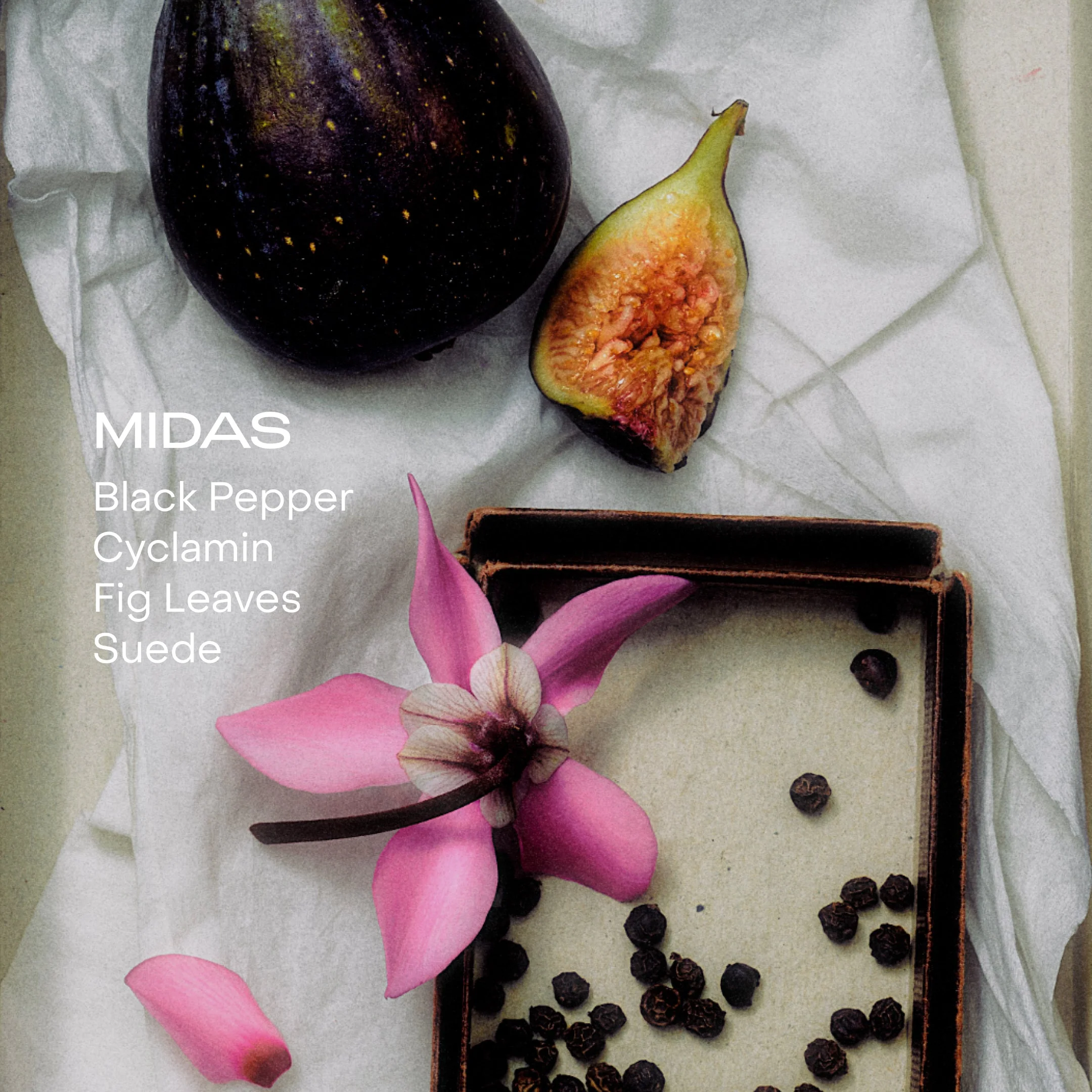 The Body Mist - Midas - Image 2
