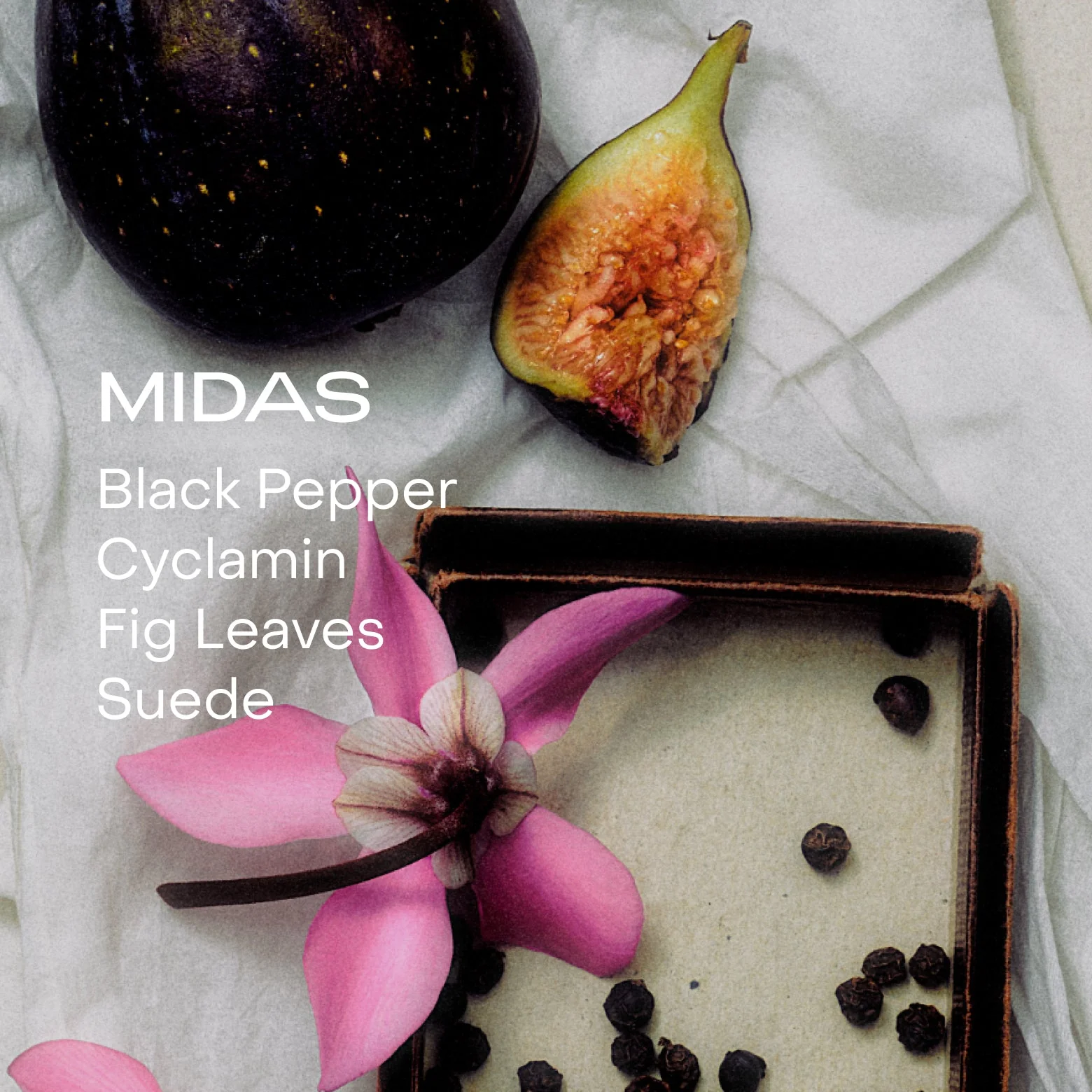 The Solid Perfume - Midas - Image 4