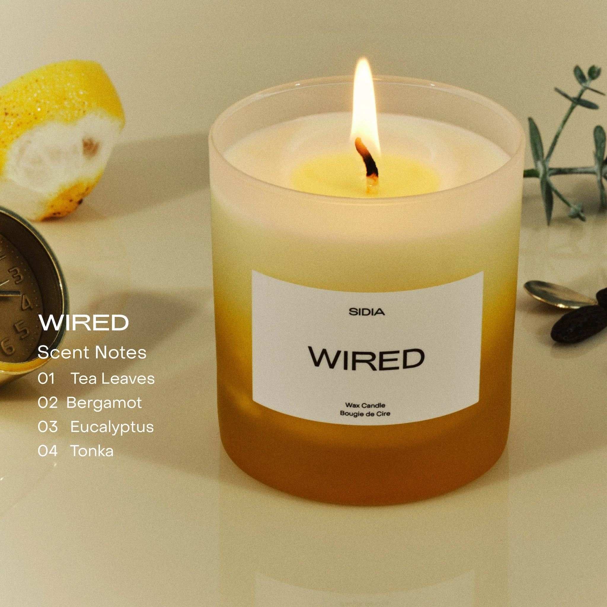 Wired Candle - Image 4