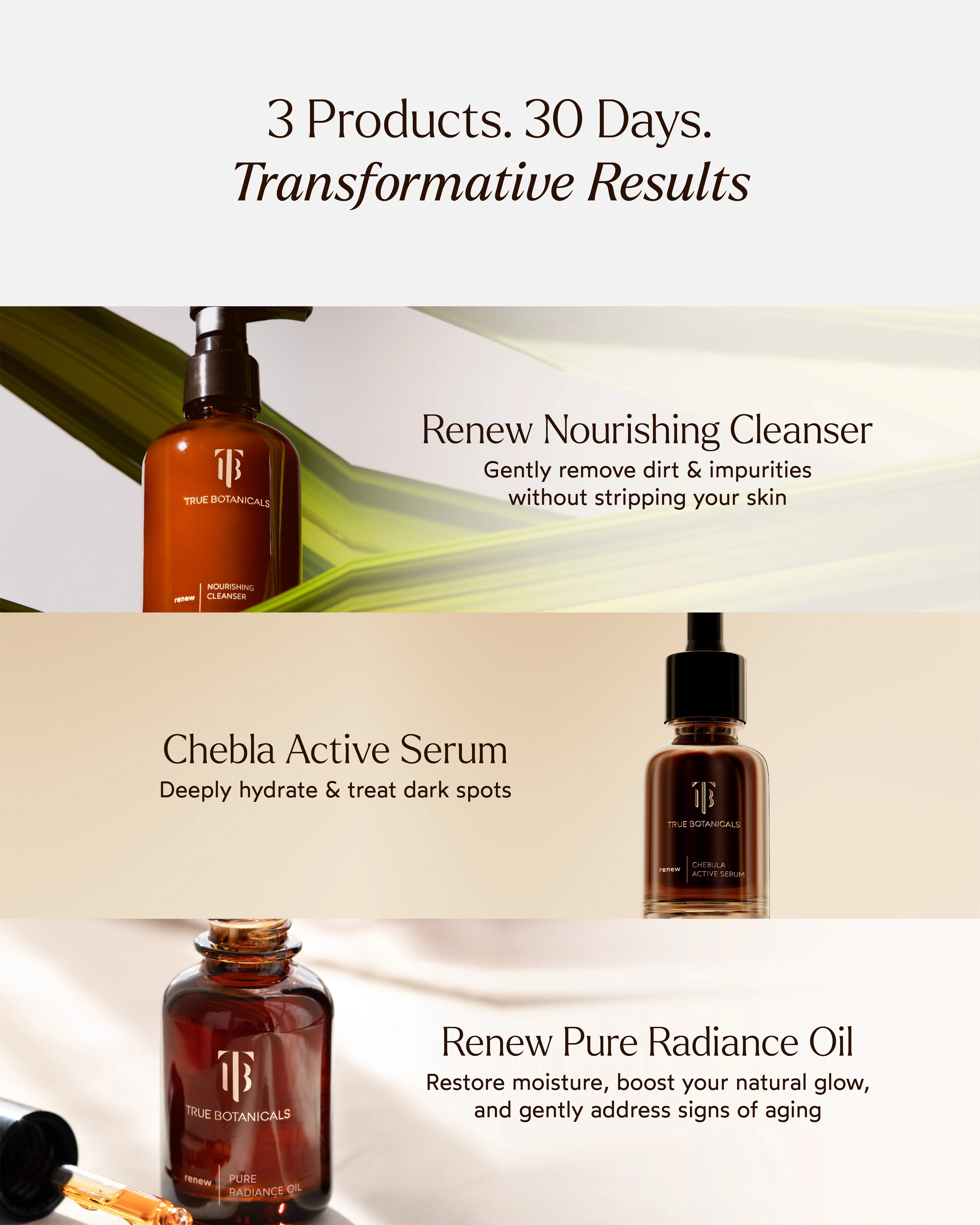A True Transformation - Image 7