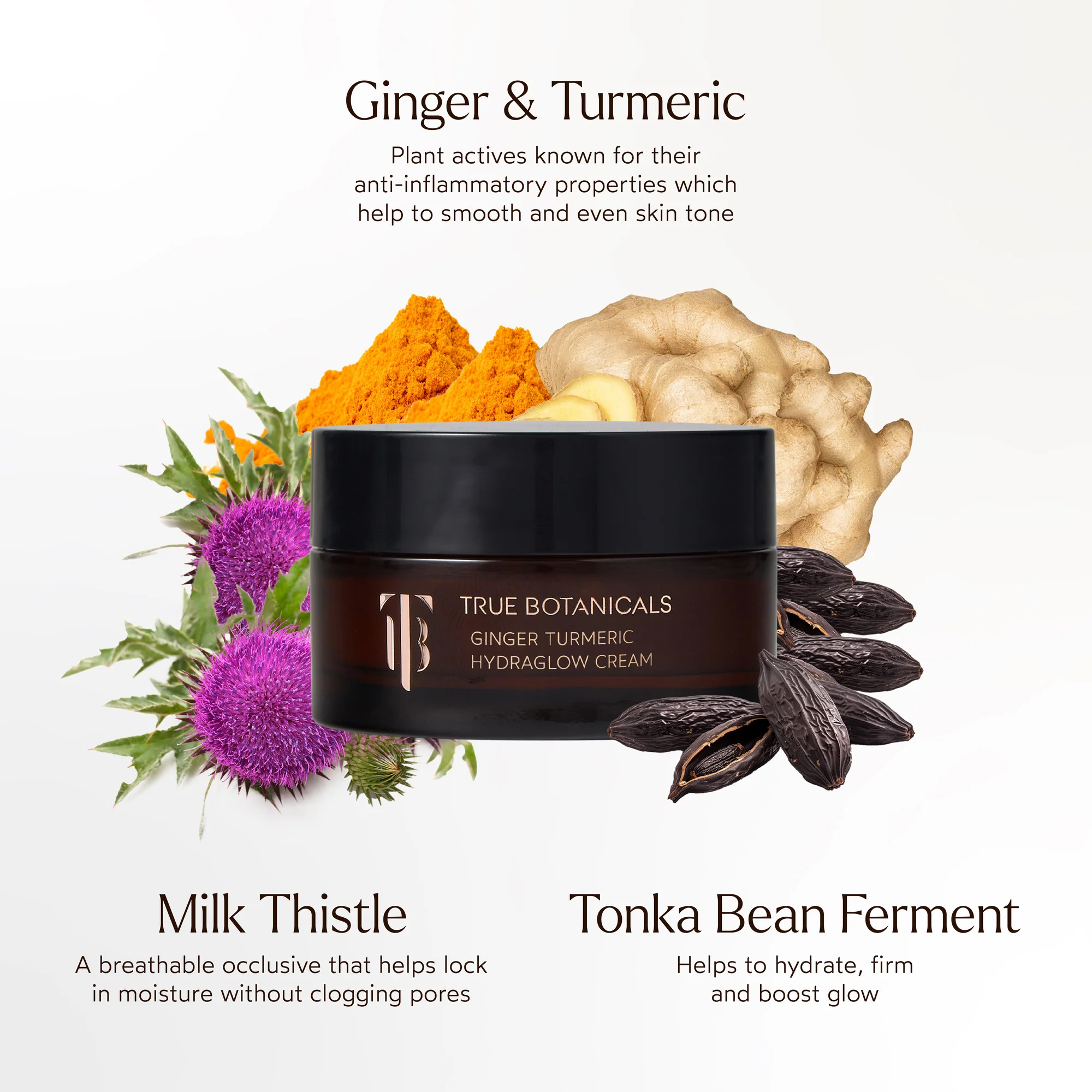 Ginger Turmeric Hydraglow Cream - Image 5