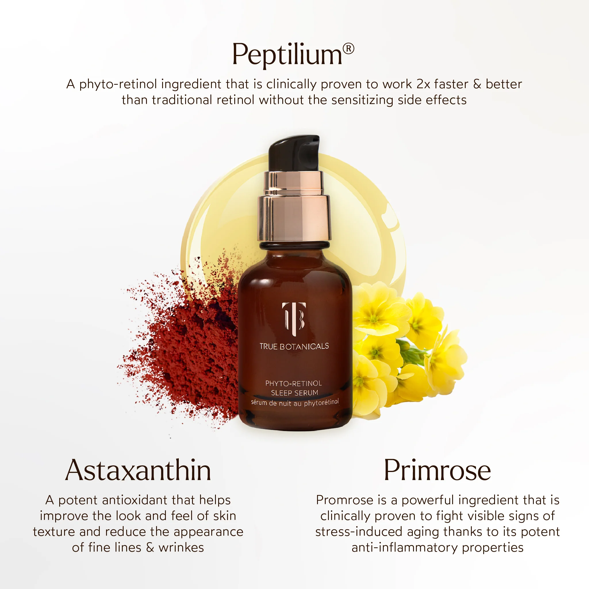 Phyto-Retinol Anti-Aging Sleep Serum - Image 8