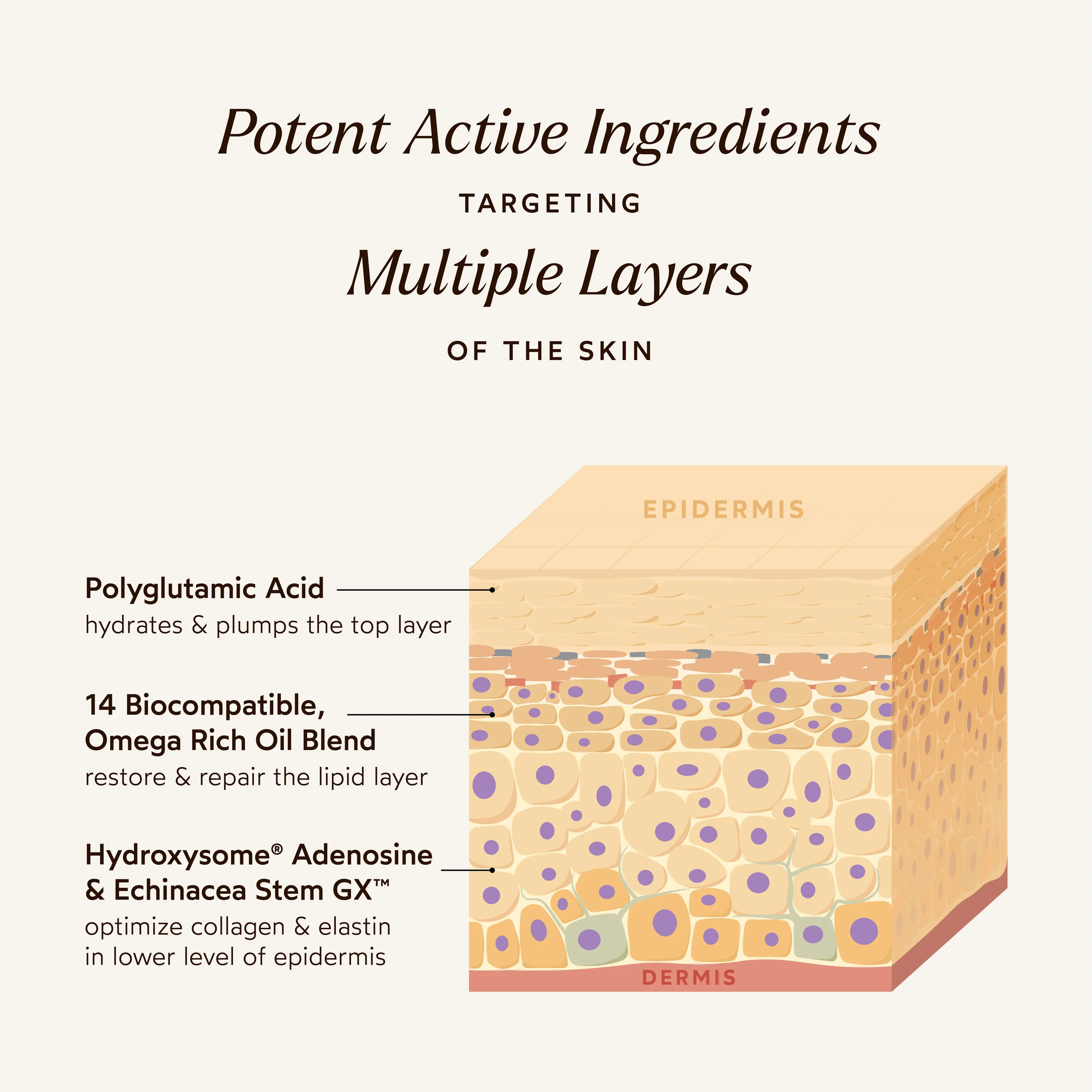 Pure Radiance Supreme Eye Cream - Image 5