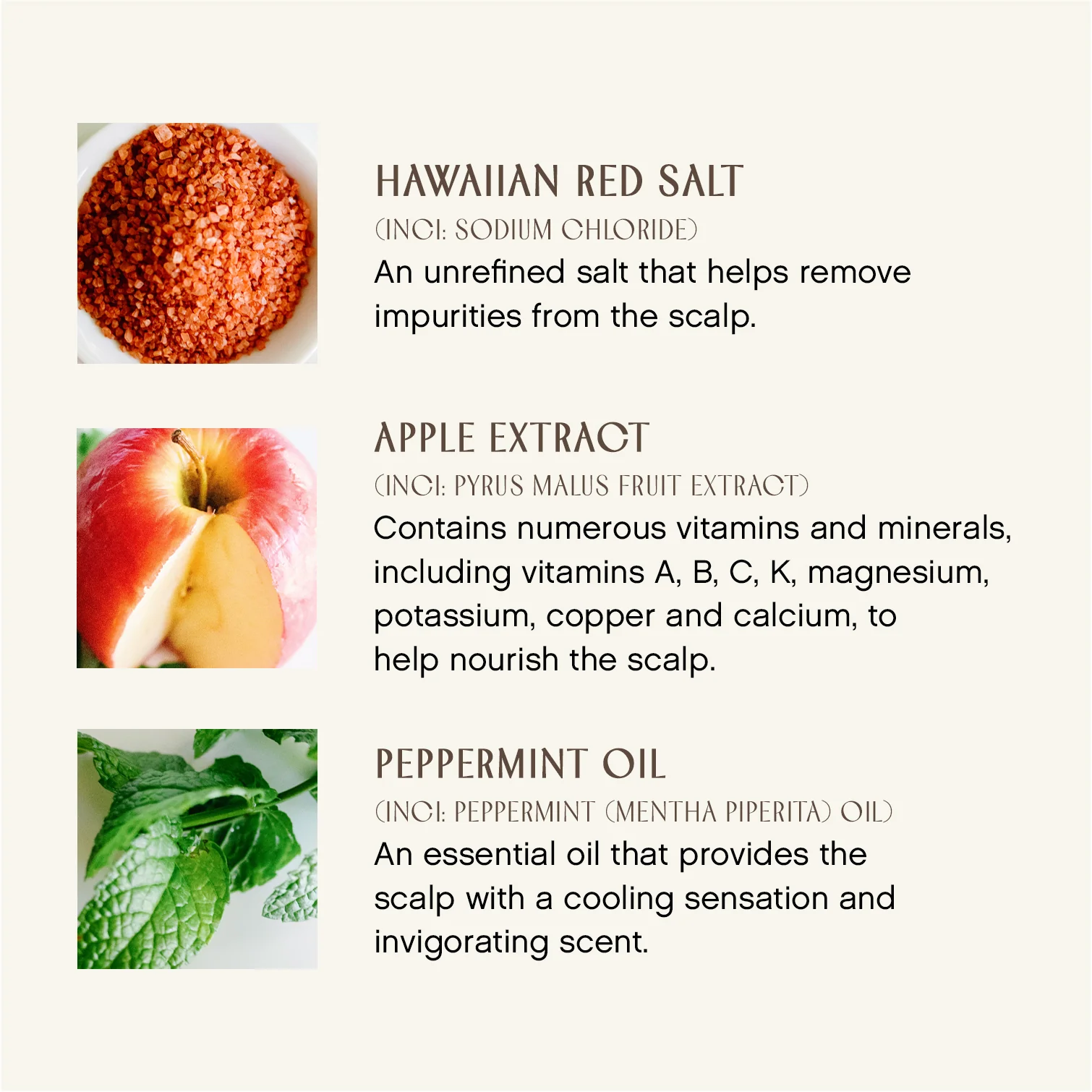 True Enlightenment Scalp Scrub - Image 3