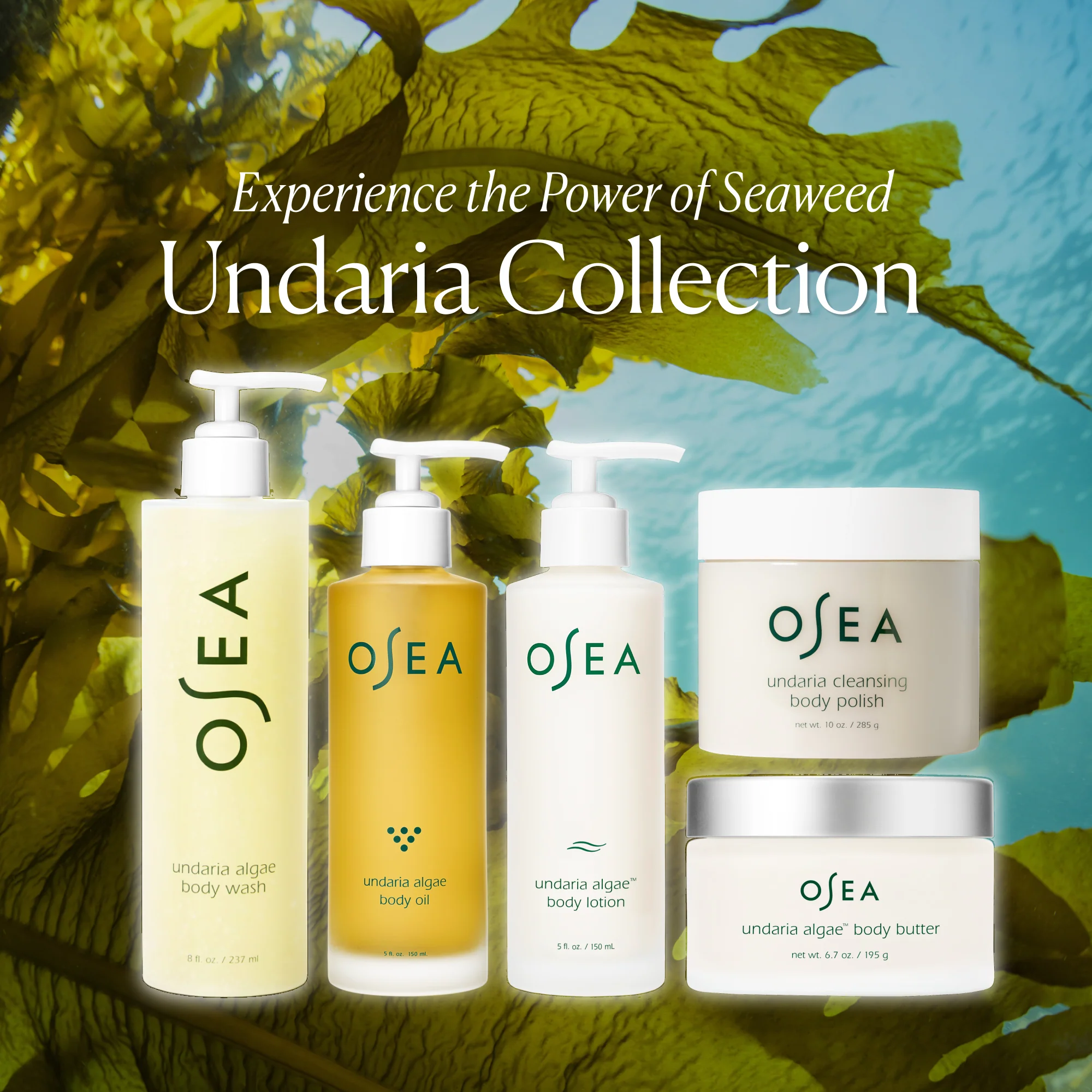 Undaria Algae Body Butter - Image 9