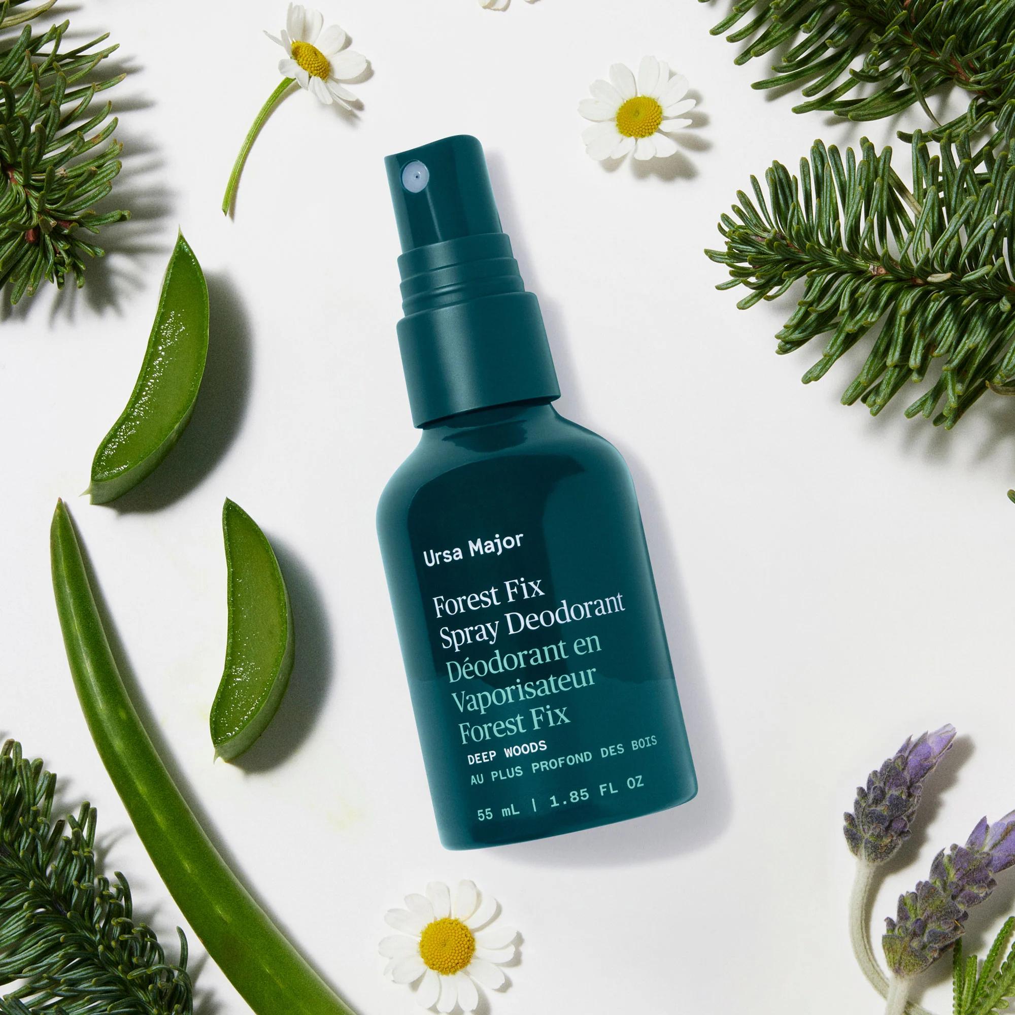 Forest Fix Spray Deodorant - Image 5