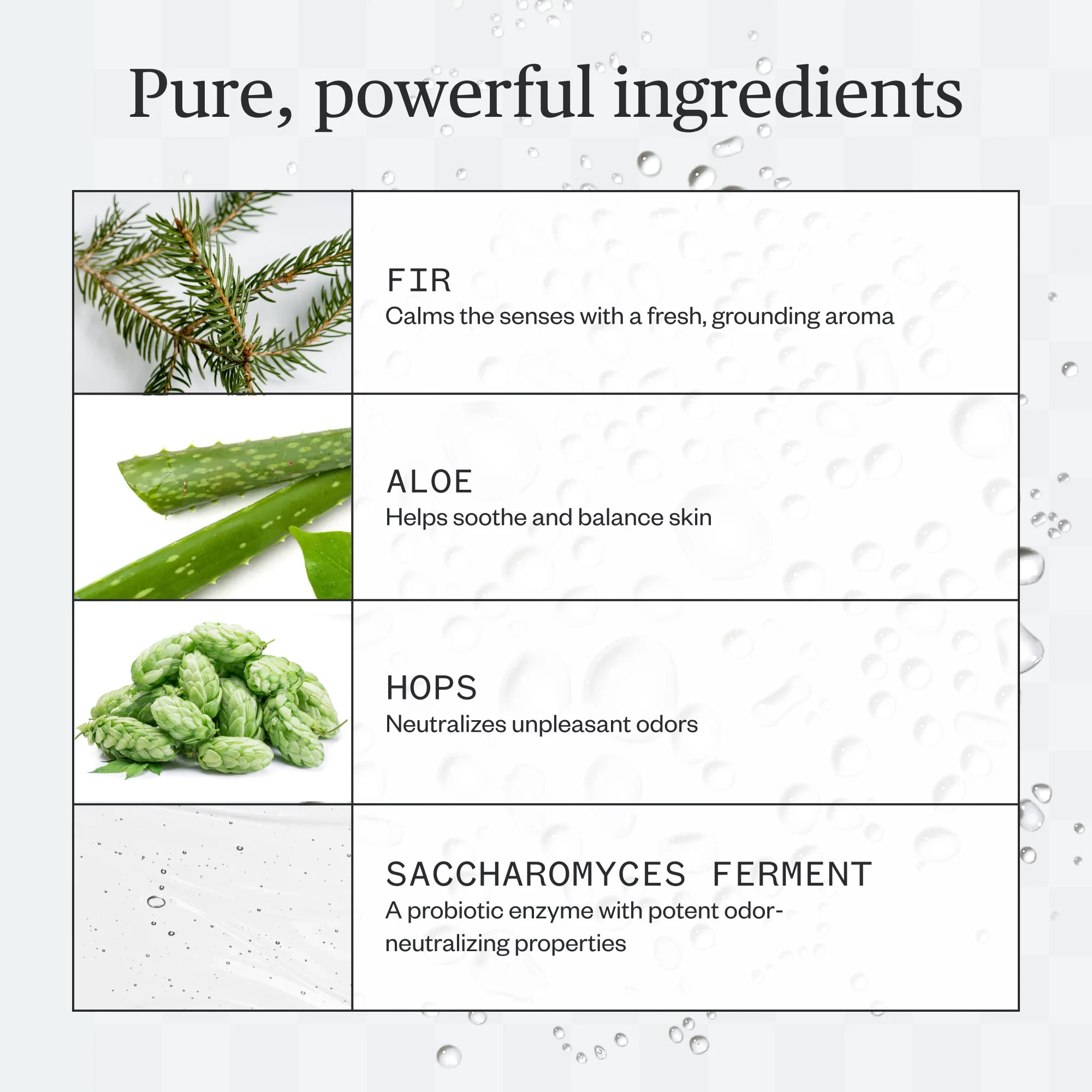 Forest Fix Spray Deodorant - Image 6