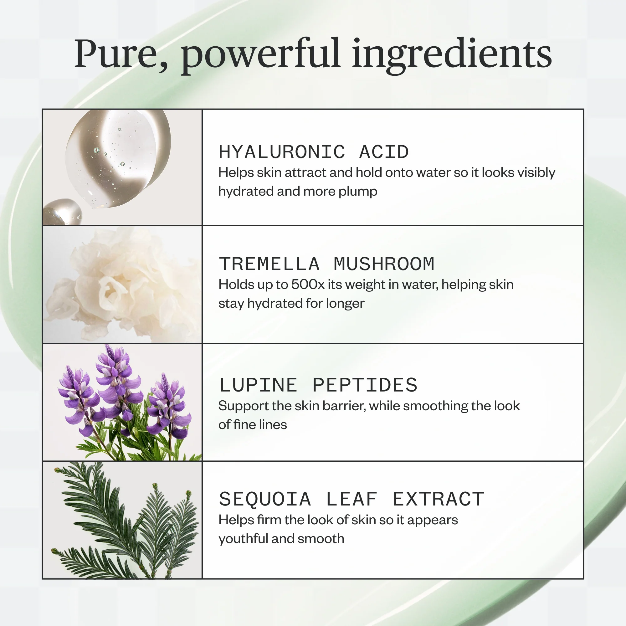 Forest Water Hyaluronic Serum - Image 10