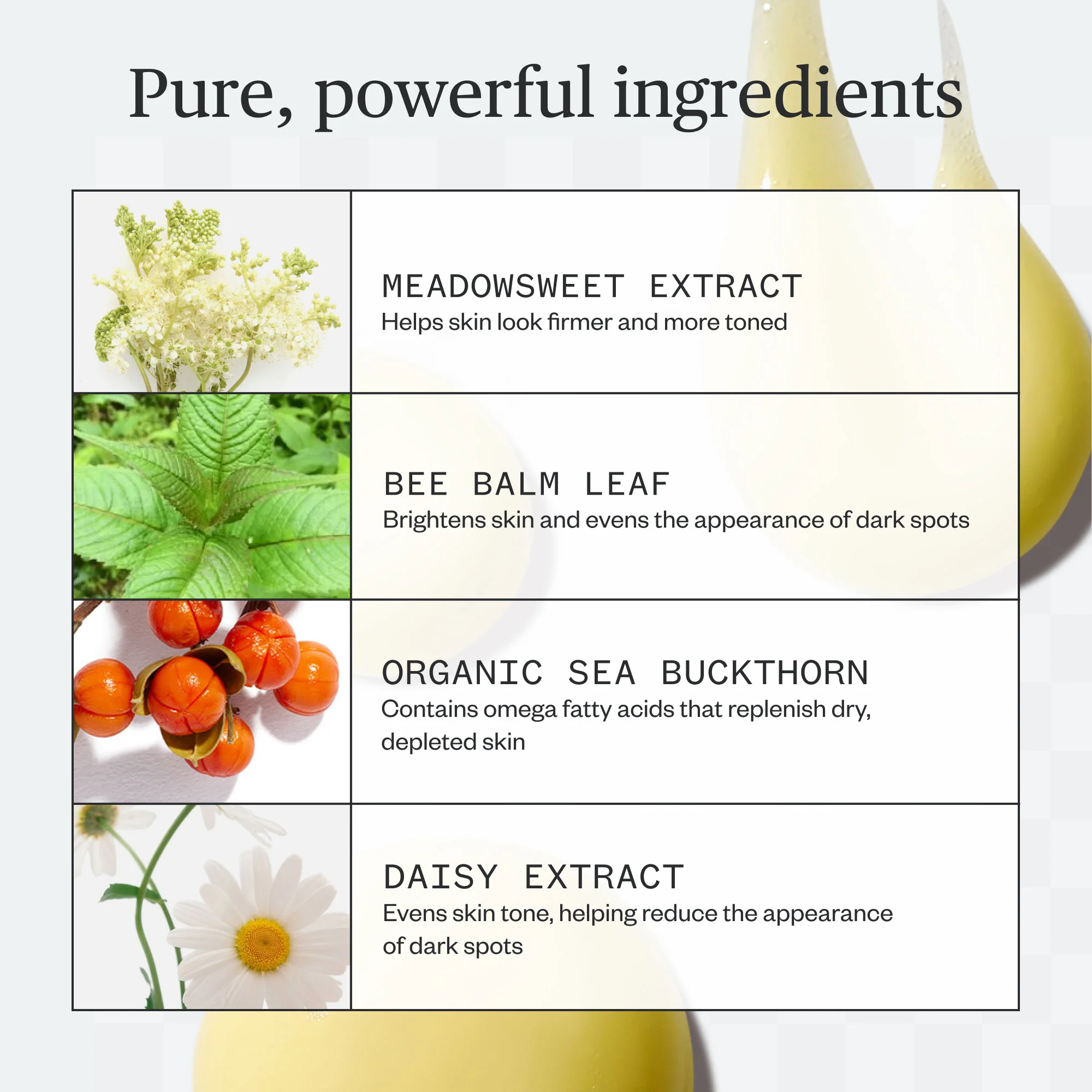 Golden Hour Body Serum - Image 5