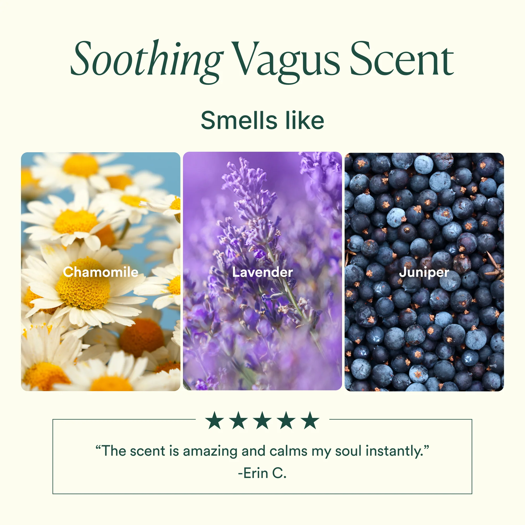 Vagus Nerve Oil - Image 7