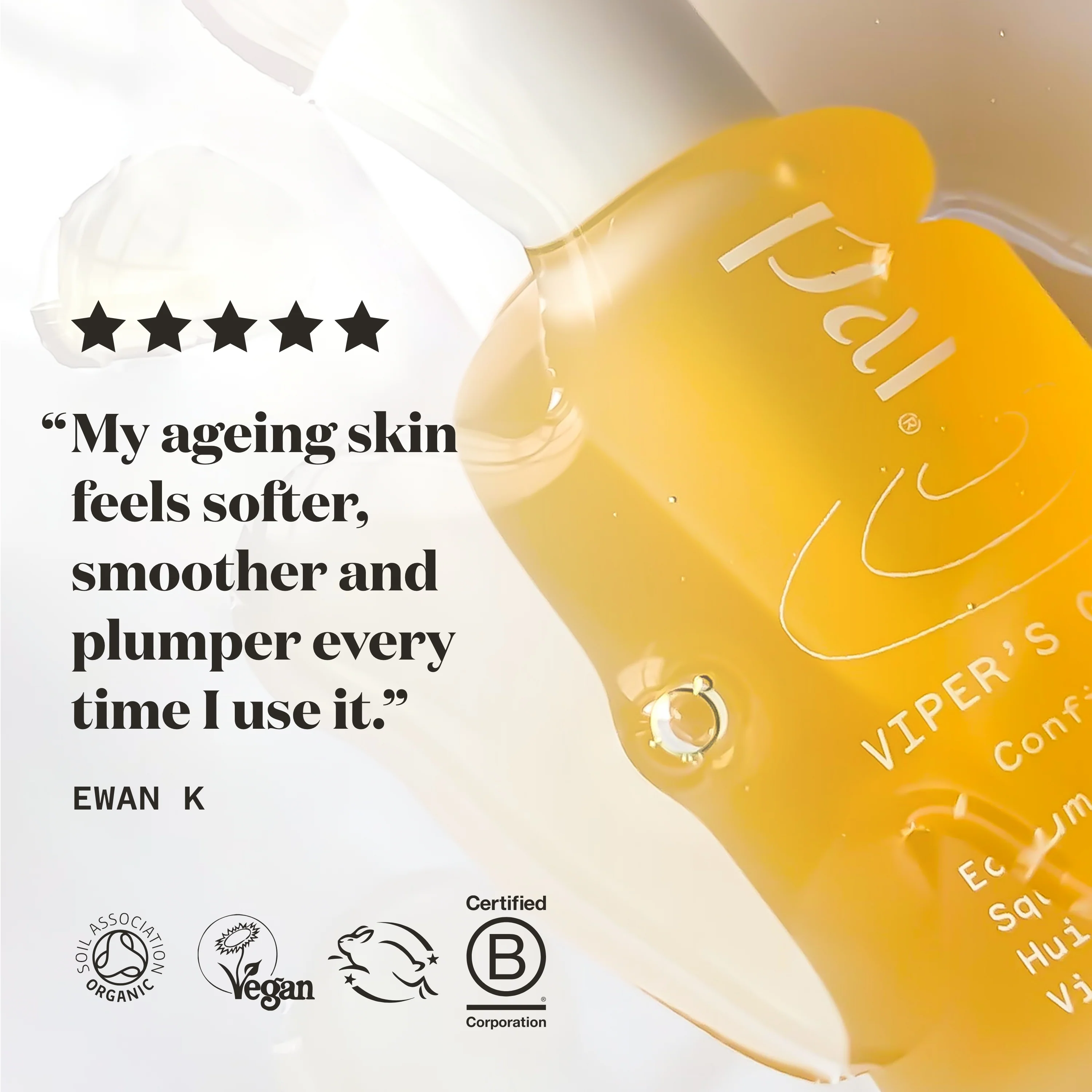 Viper’s Gloss - Image 6